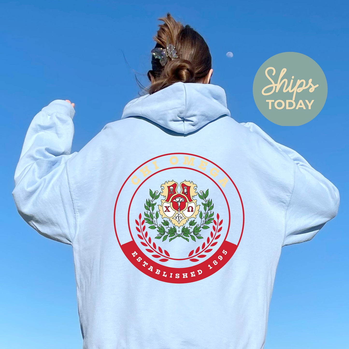 Chi Omega Crested Tradition Sorority Hoodie _ 32825g