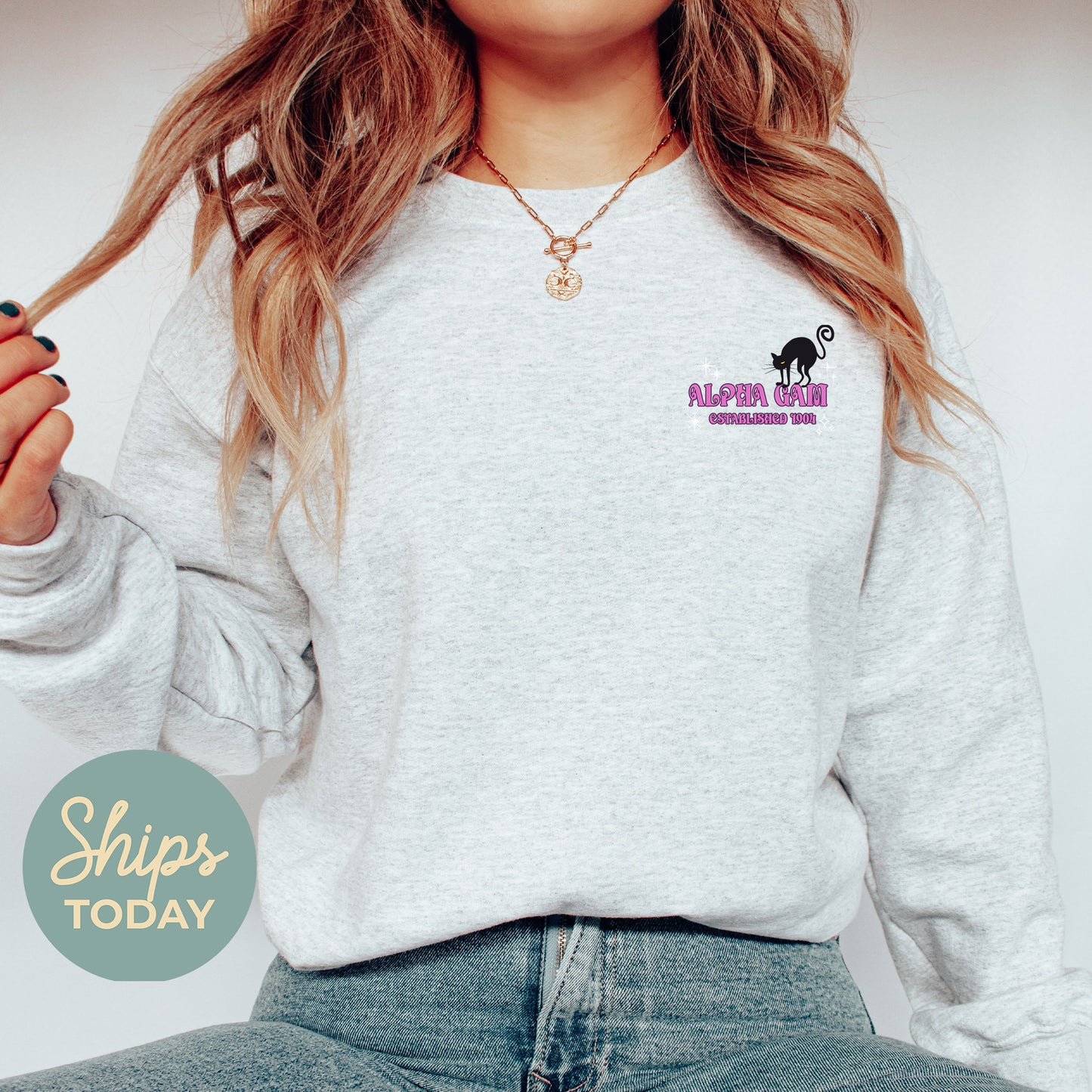 Alpha Gamma Delta Halloween Witch Sorority Sweatshirt _ 36229g