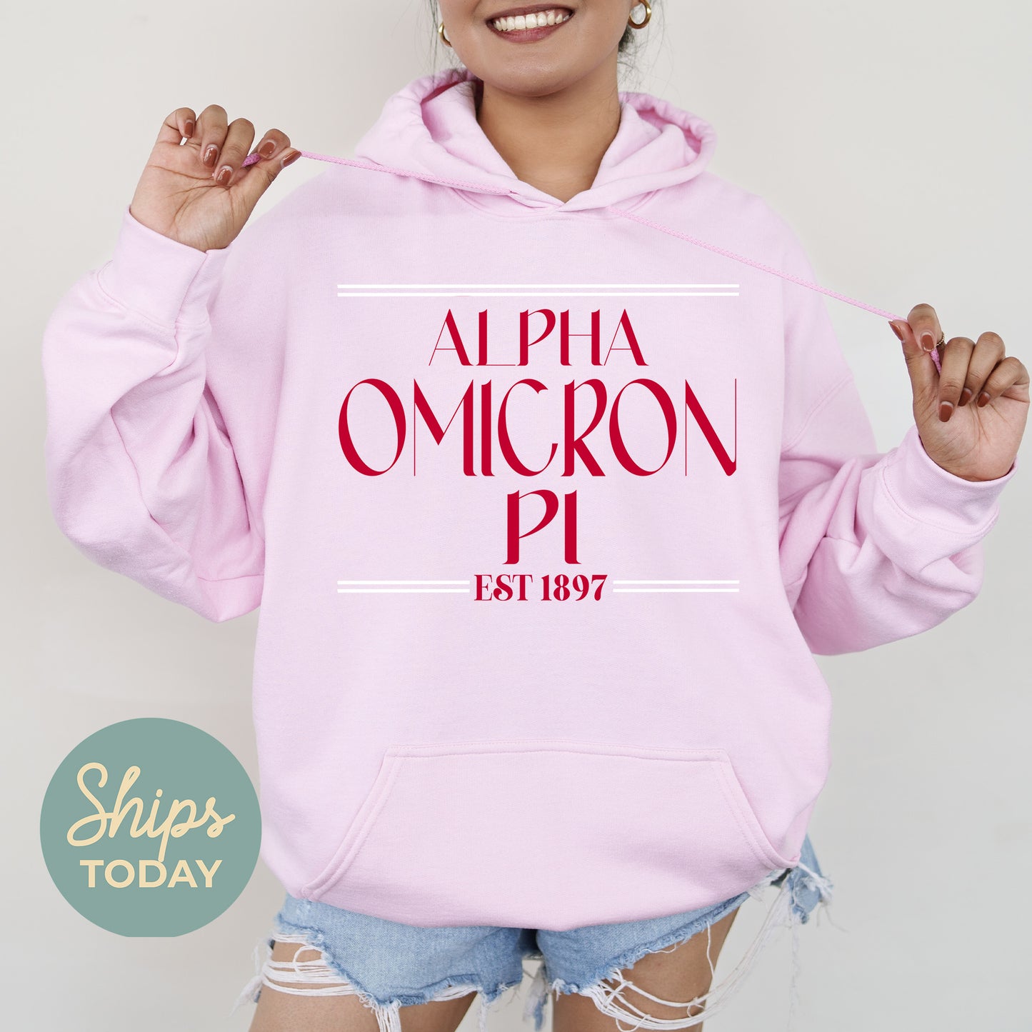 Alpha Omicron Pi Greek Harmony Sorority Hoodie _ 34968g