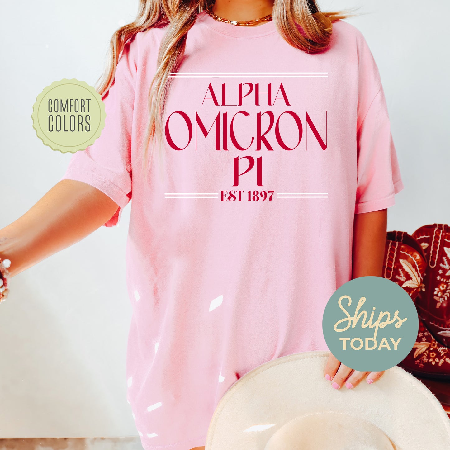 Alpha Omicron Pi Greek Harmony Comfort Colors Sorority T-shirt _ 34968g
