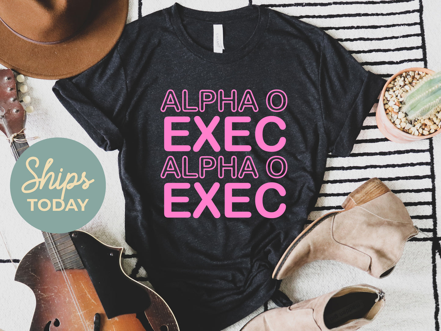 Alpha Omicron Pi Executive Sisterhood Sorority T-shirt _ 30904g