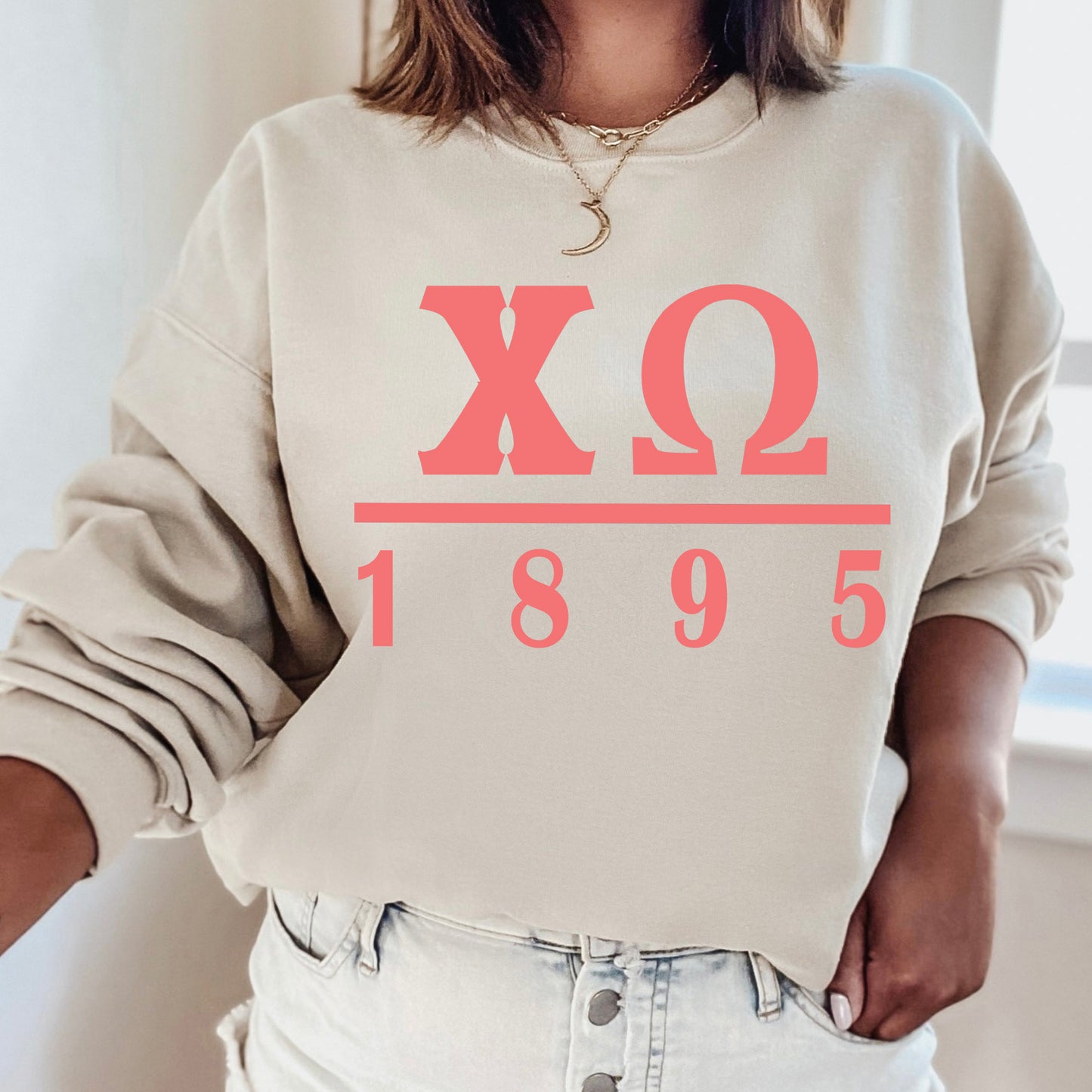 Chi Omega Monochromatic Sorority Sweatshirt _ 30852g