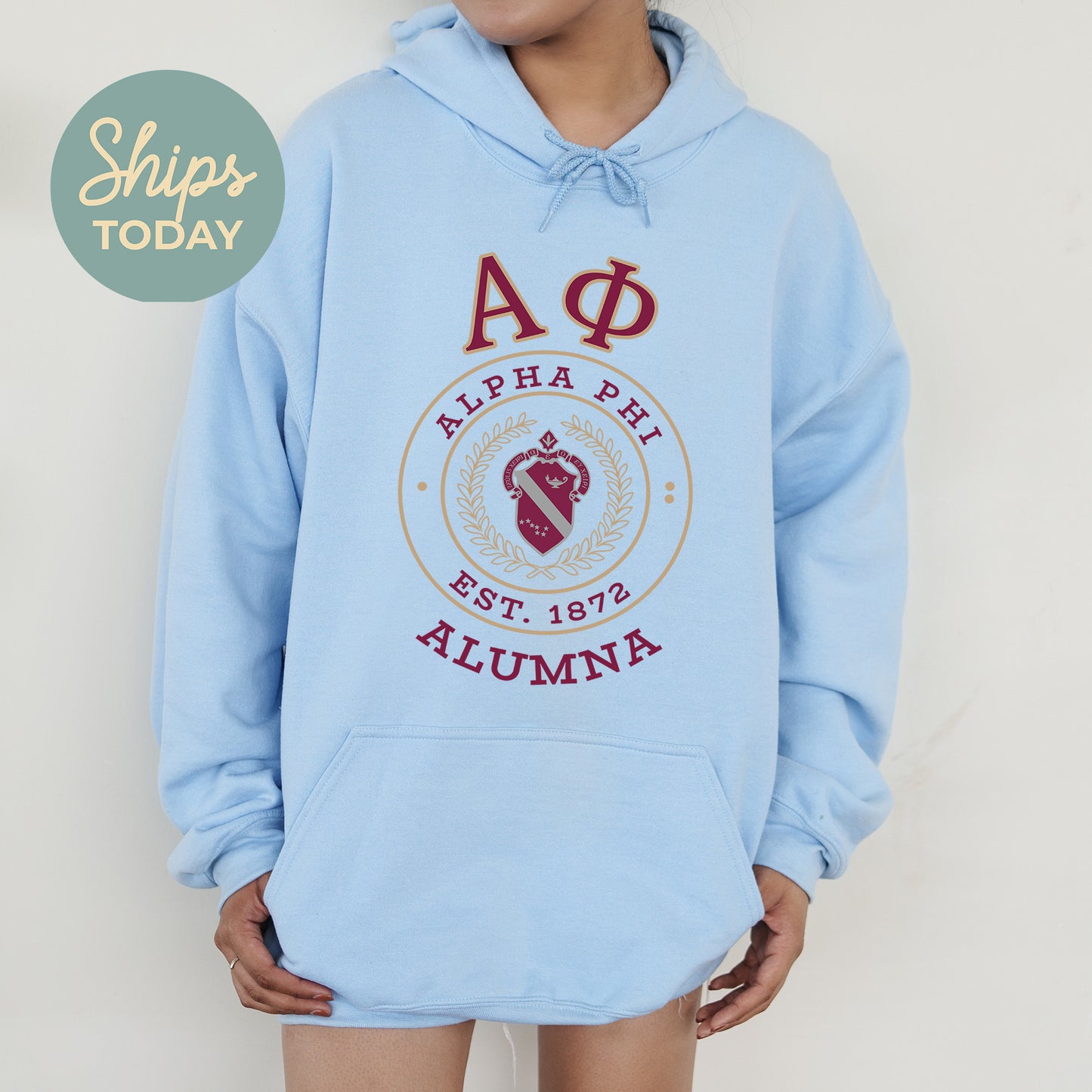 Alpha Phi Alumna Vintage Sorority Hoodie _ 31014g