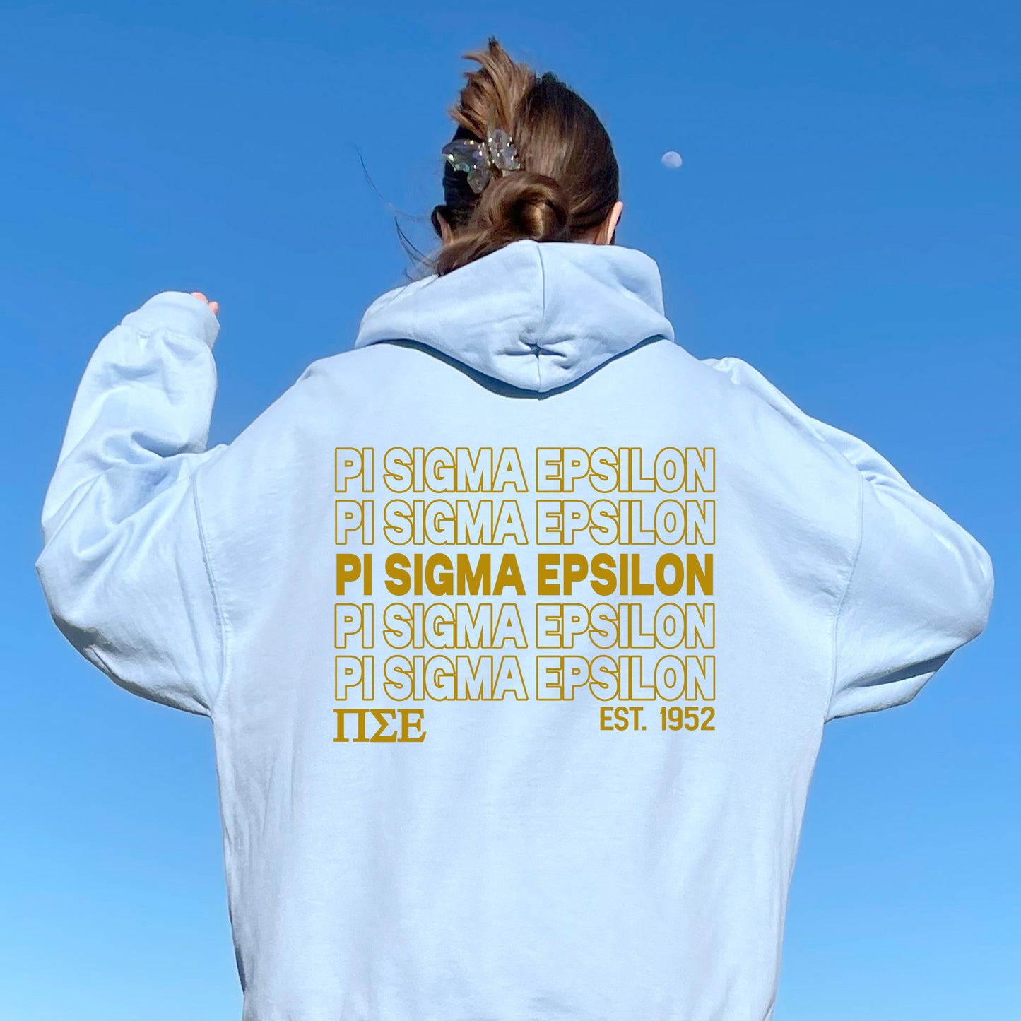 Pi Sigma Epsilon Repeating Letters COED Hoodie _ 35596g