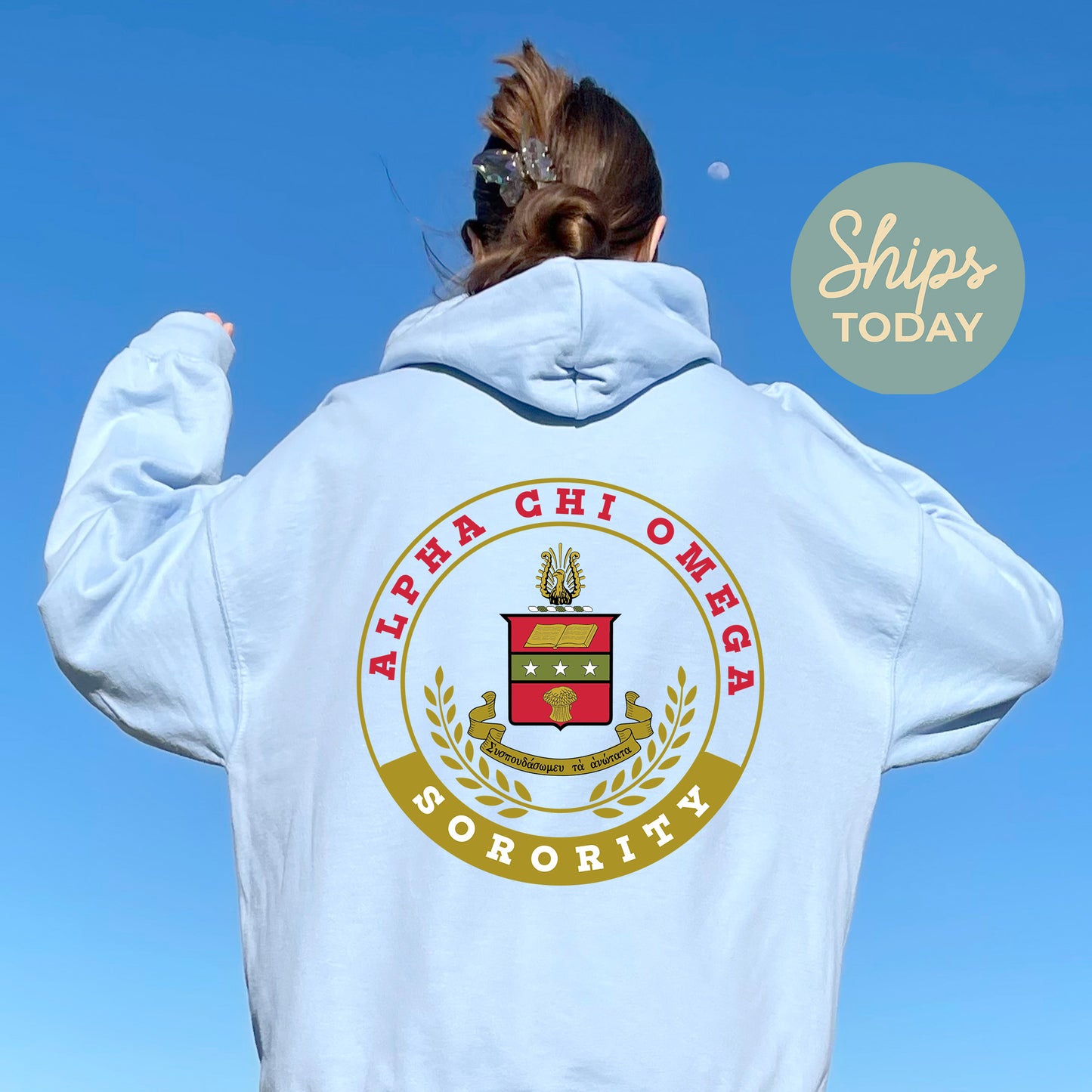 Alpha Chi Omega Crested Tradition Sorority Hoodie _ 32816g