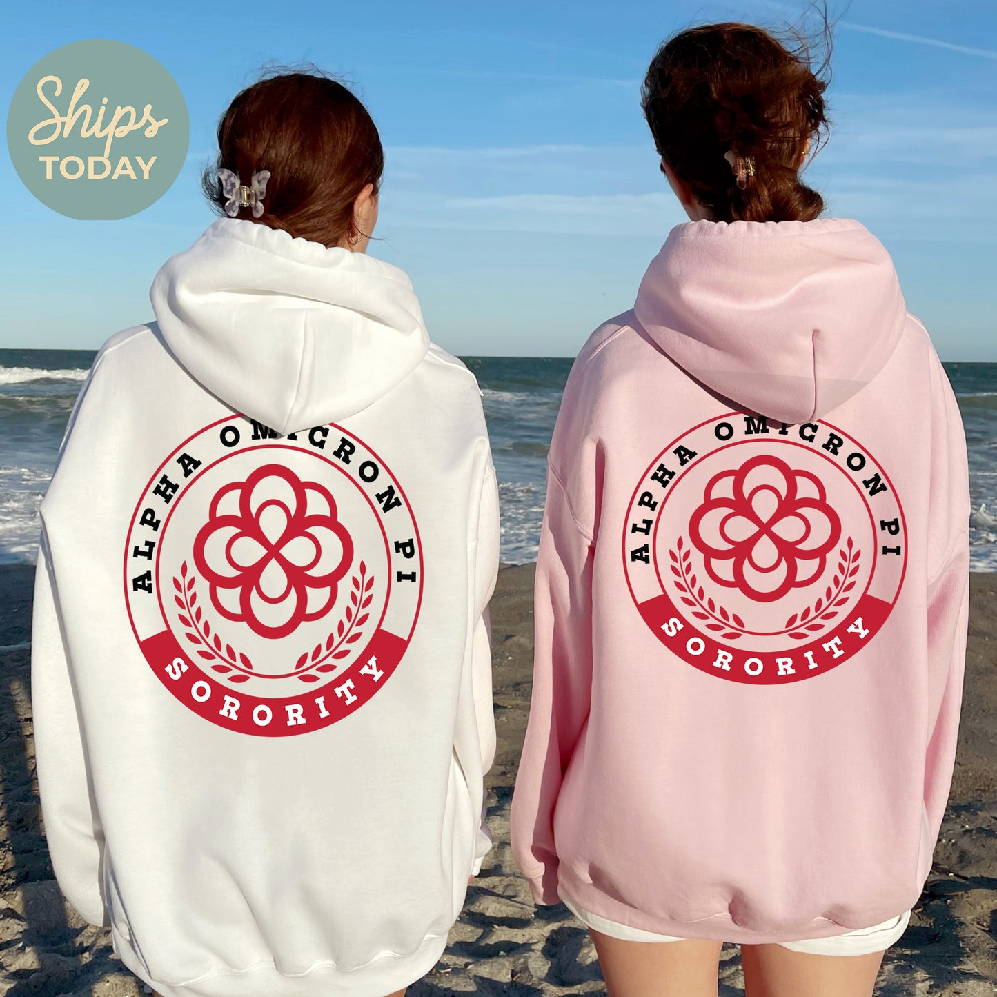 Alpha Omicron Pi Crested Tradition Sorority Hoodie _ 32820g