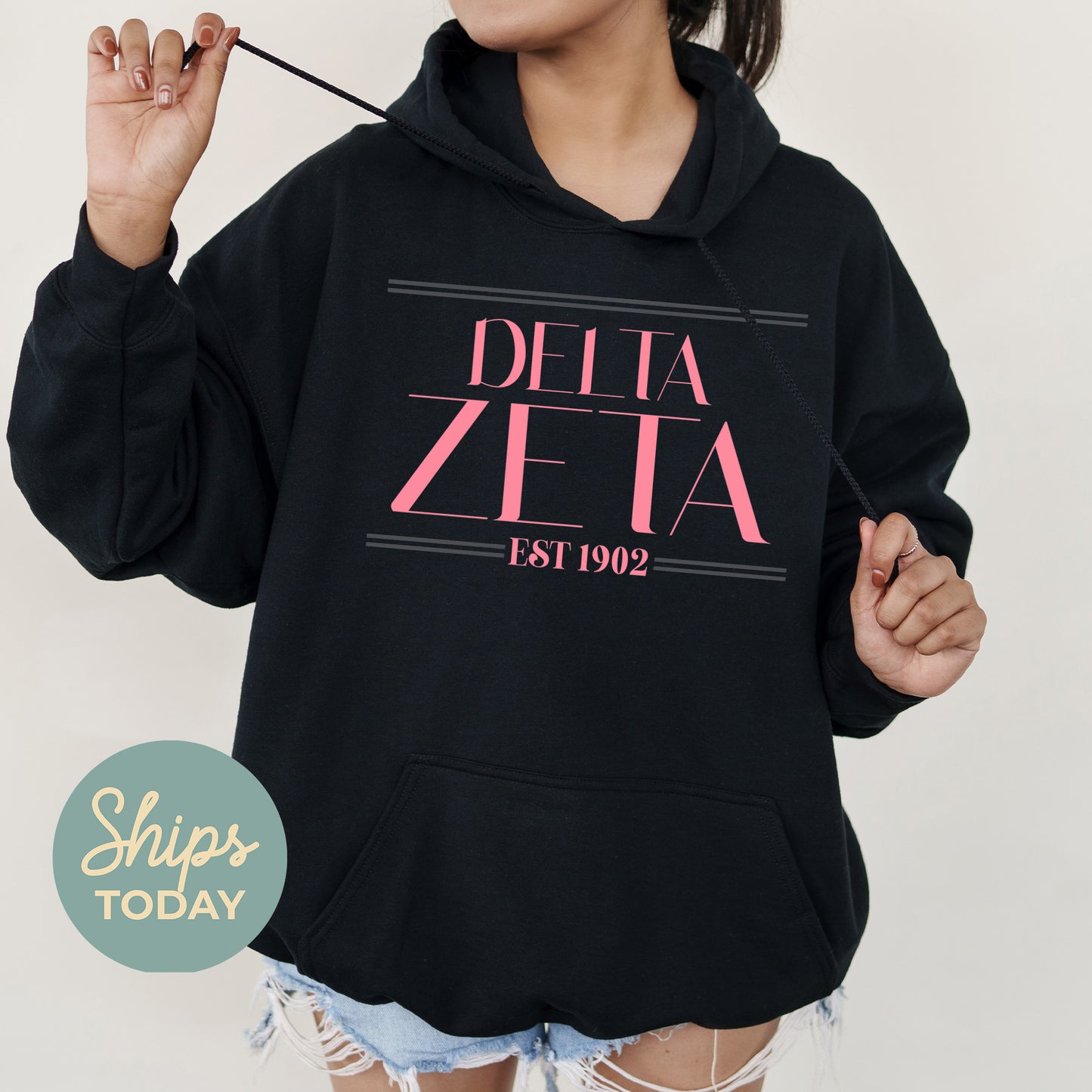 Delta Zeta Greek Harmony Sorority Hoodie _ 34977g