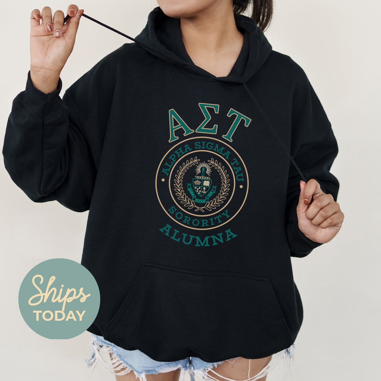 Alpha Sigma Tau Alumna Vintage Sorority Hoodie _ 31016g