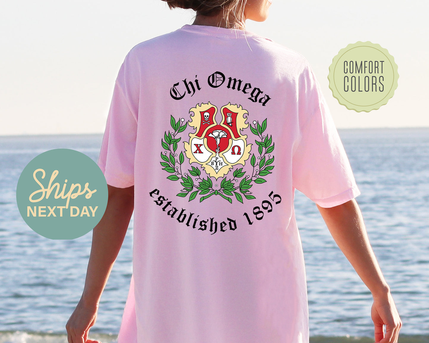 Chi Omega Old English Crest Comfort Colors Sorority T-shirt _ 32929g