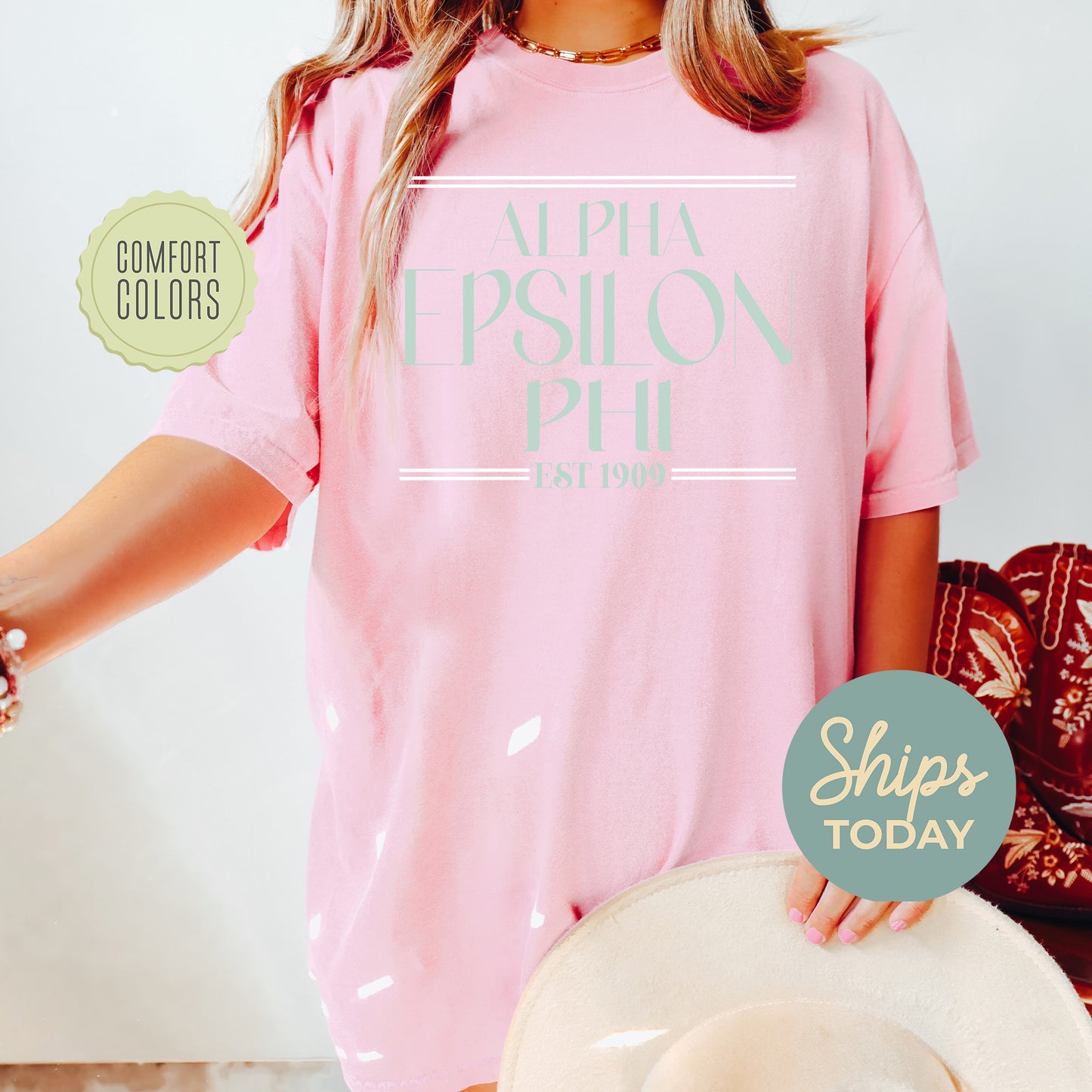 Alpha Epsilon Phi Greek Harmony Comfort Colors Sorority T-shirt _ 34966g
