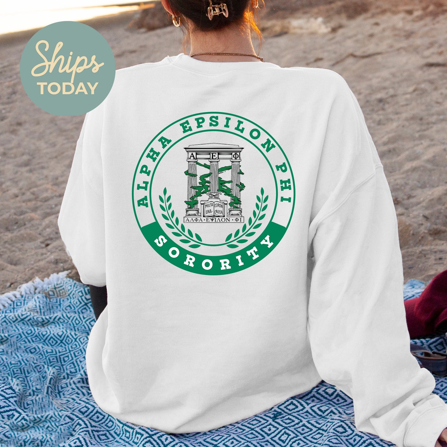 Alpha Epsilon Phi Crested Tradition Sorority Sweatshirt _ 32818g