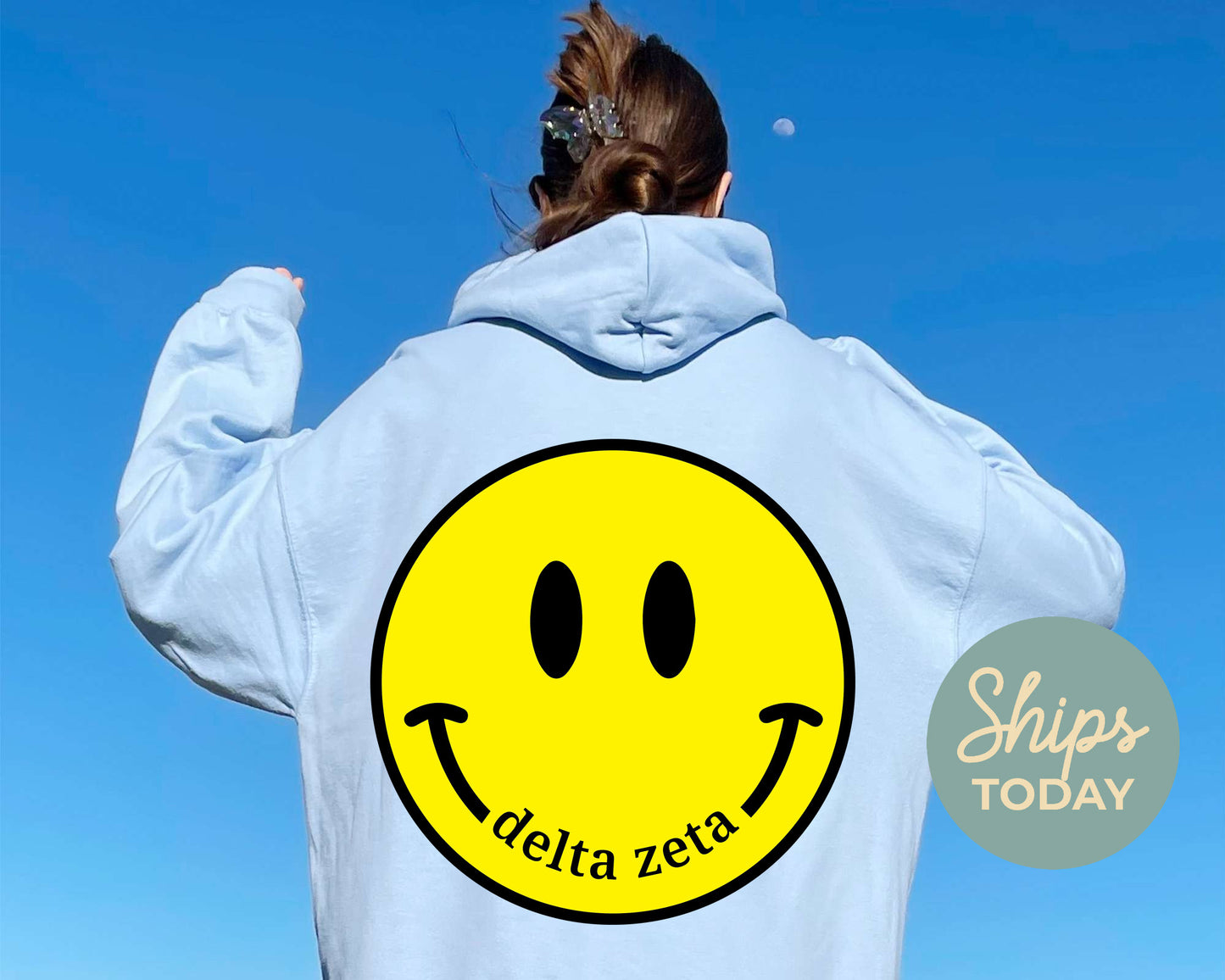 Delta Zeta Smiley Face Sorority Hoodie  _ 32855g