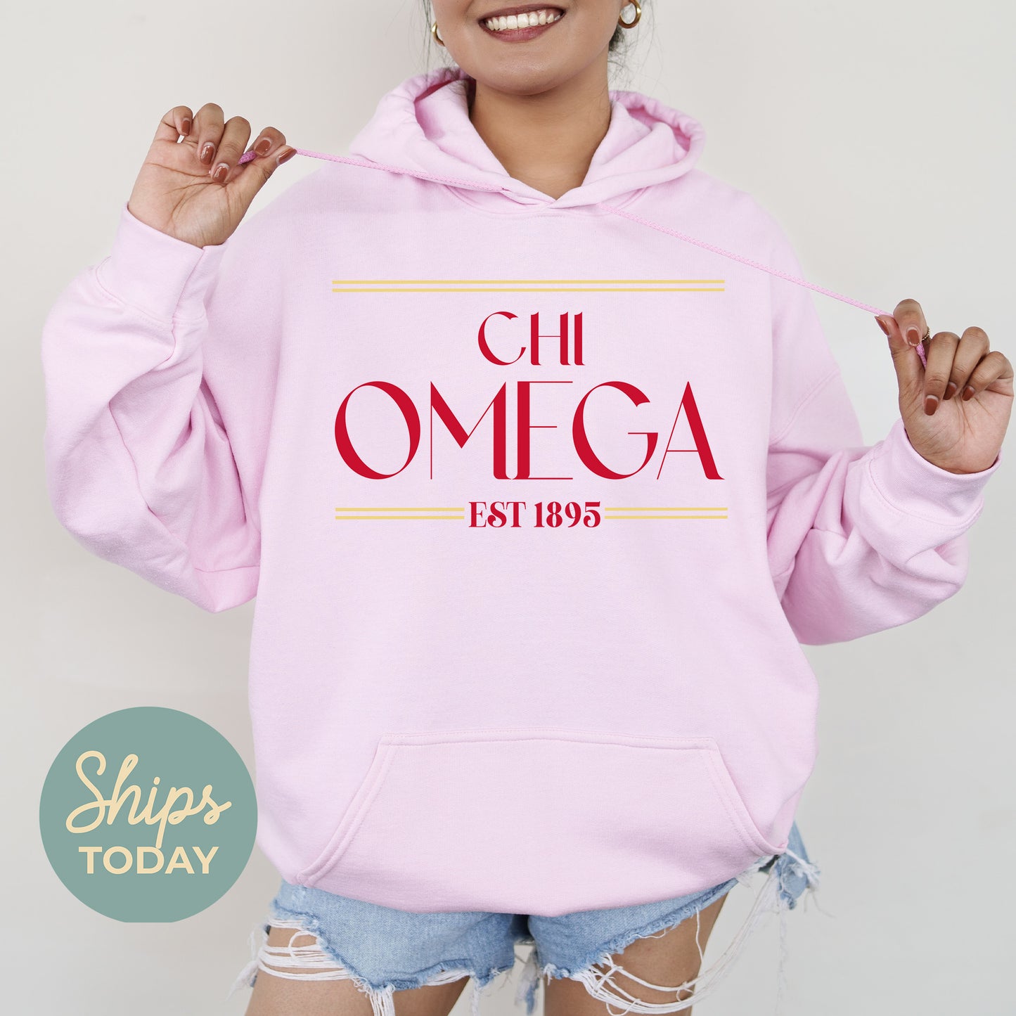 Chi Omega Greek Harmony Sorority Hoodie _ 34973g