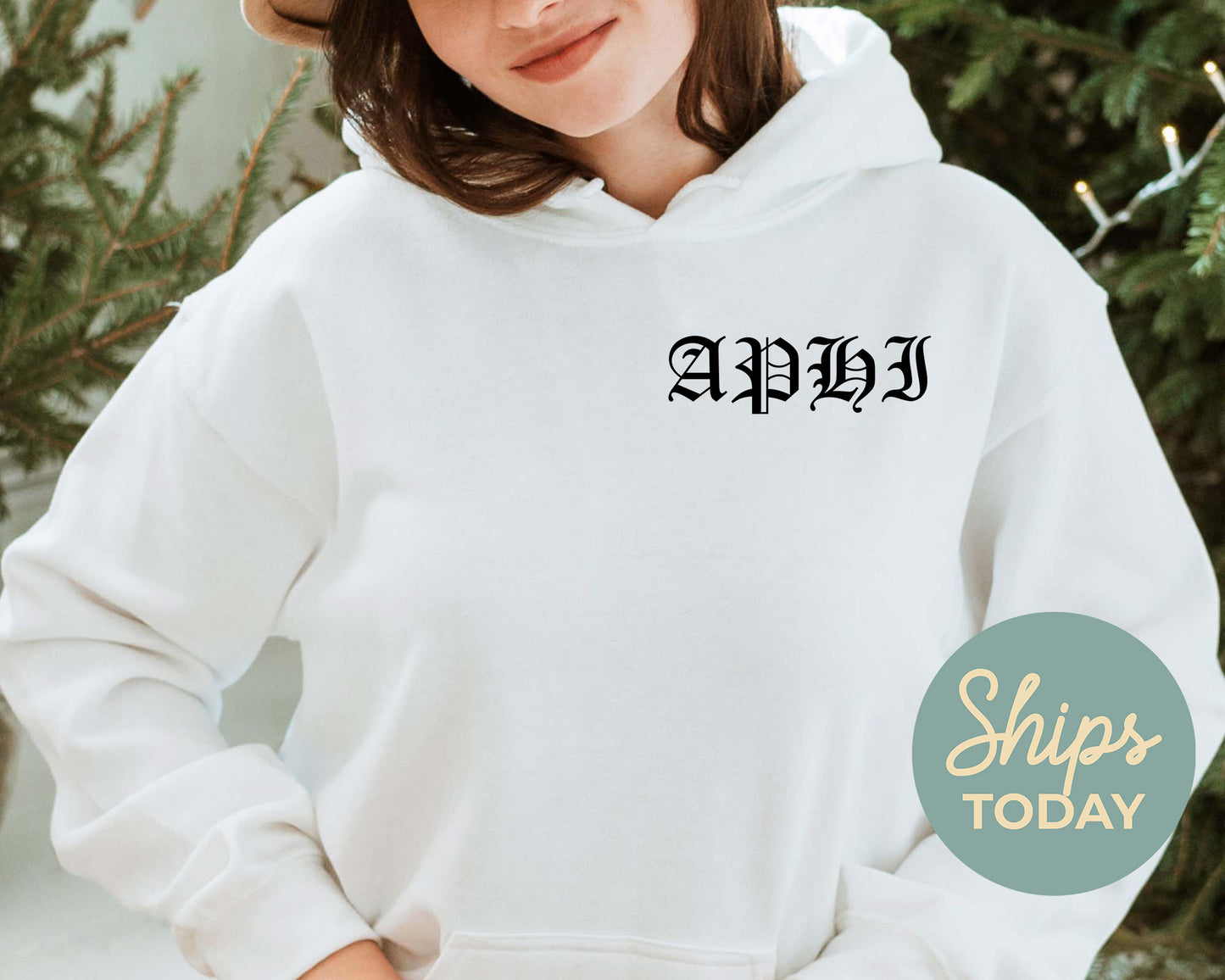 Alpha Phi Old English Crest Sorority Hoodie _ 32925g