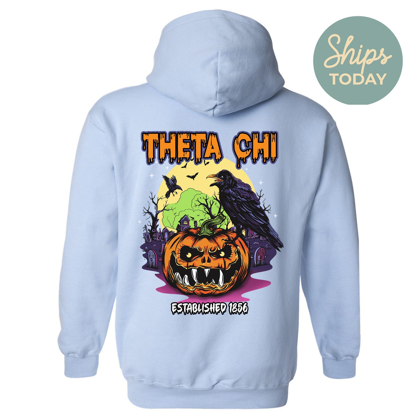 Theta Chi Halloween Bats Fraternity Hoodie _ 36280g