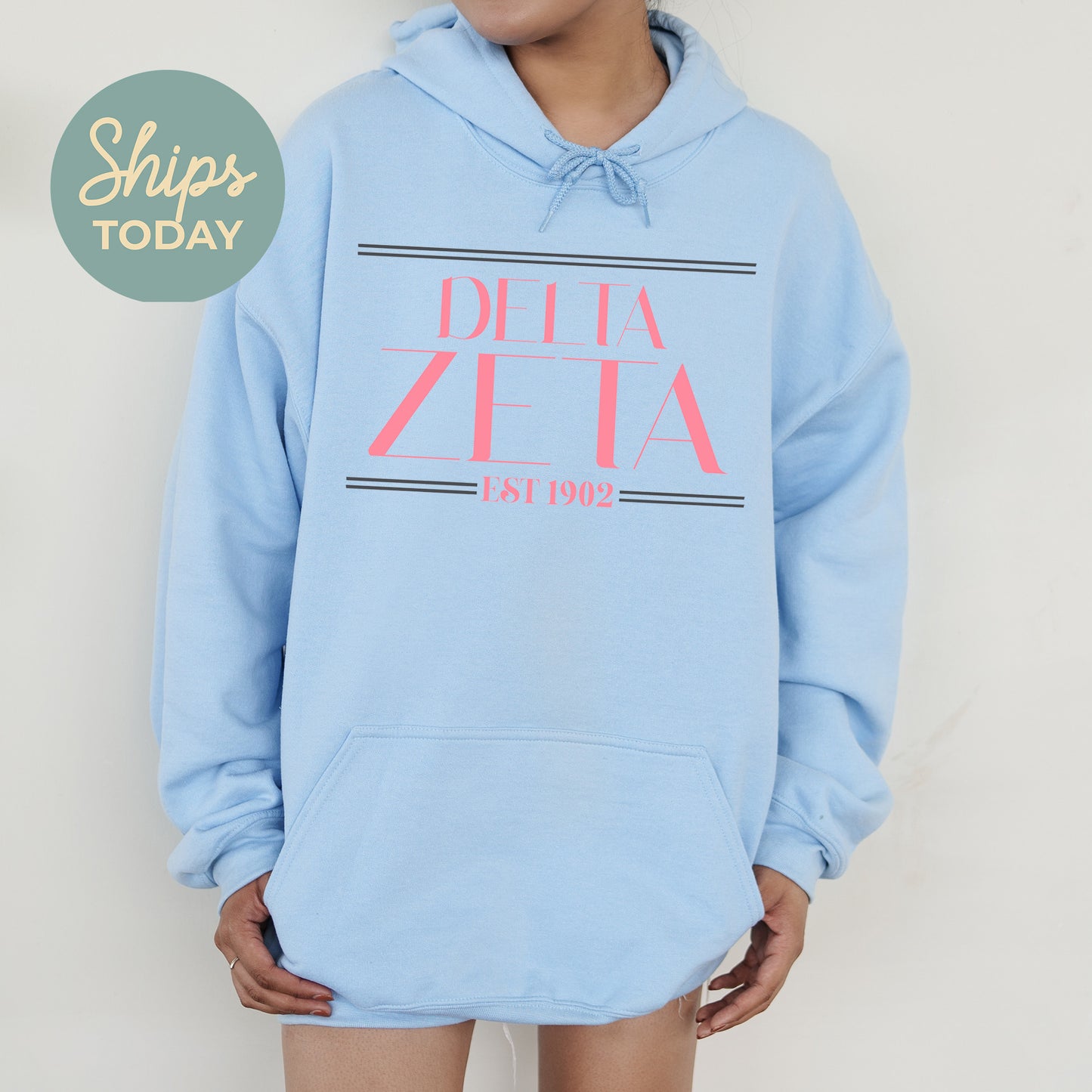 Delta Zeta Greek Harmony Sorority Hoodie _ 34977g