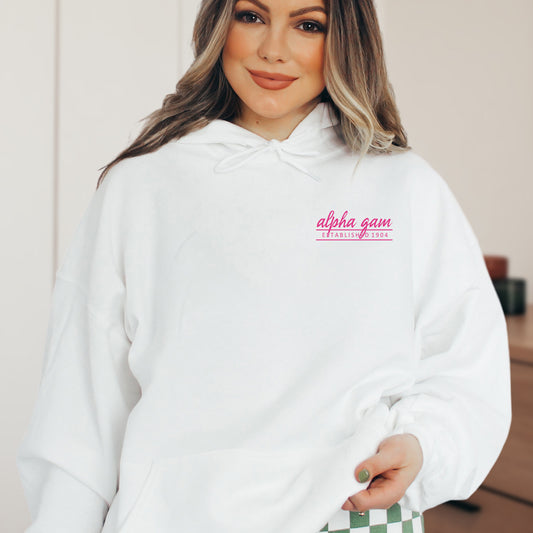Alpha Gamma Delta Classic Pink Sorority Hoodie _ 39089g