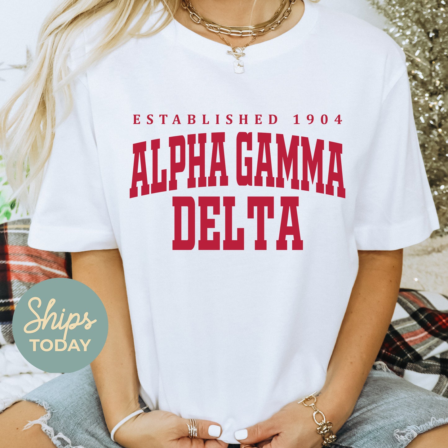 Alpha Gamma Delta Bold Letters Sorority T-shirt _ 35123g