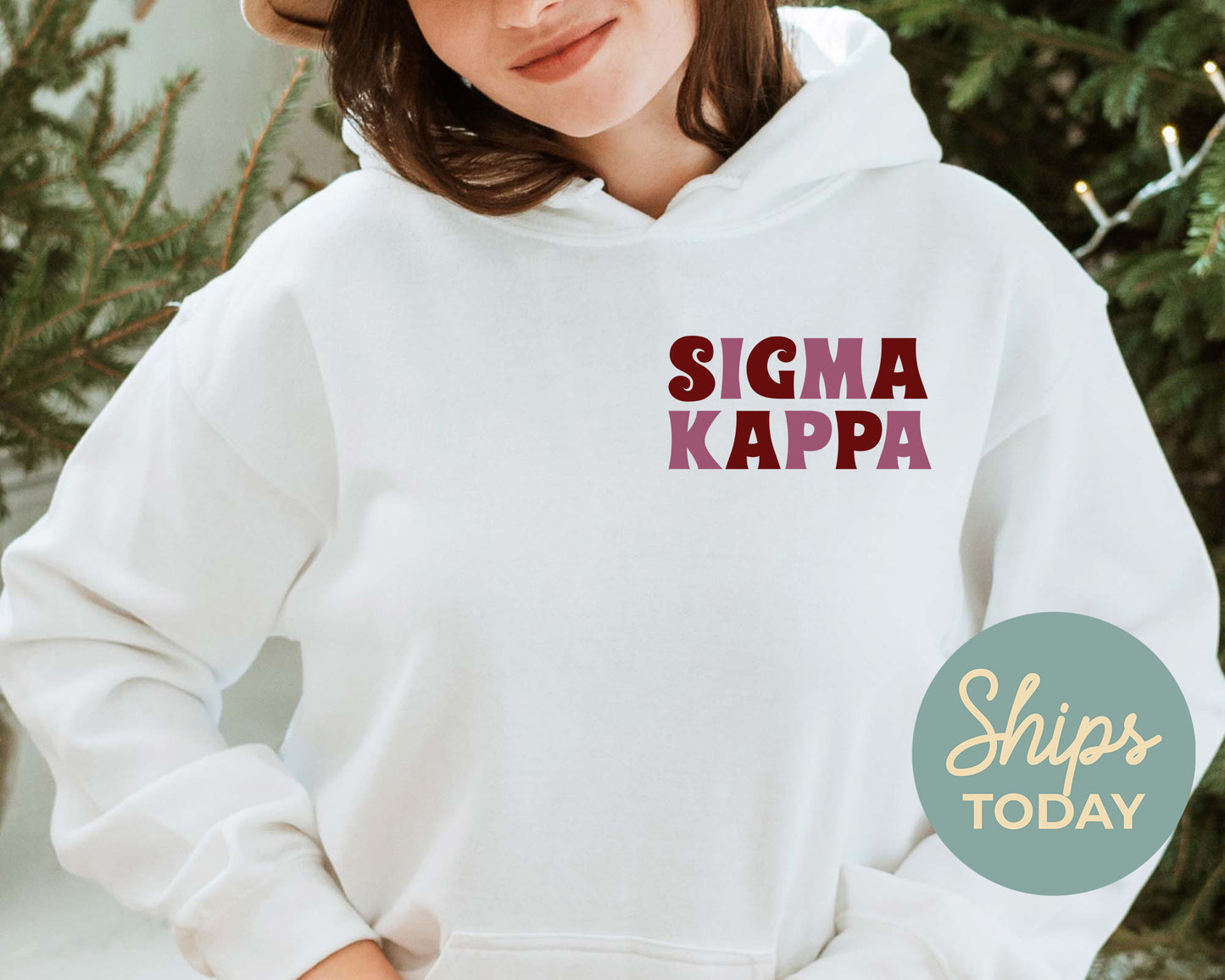 Sigma Kappa Say it Back Sorority Hoodie _ 33394g