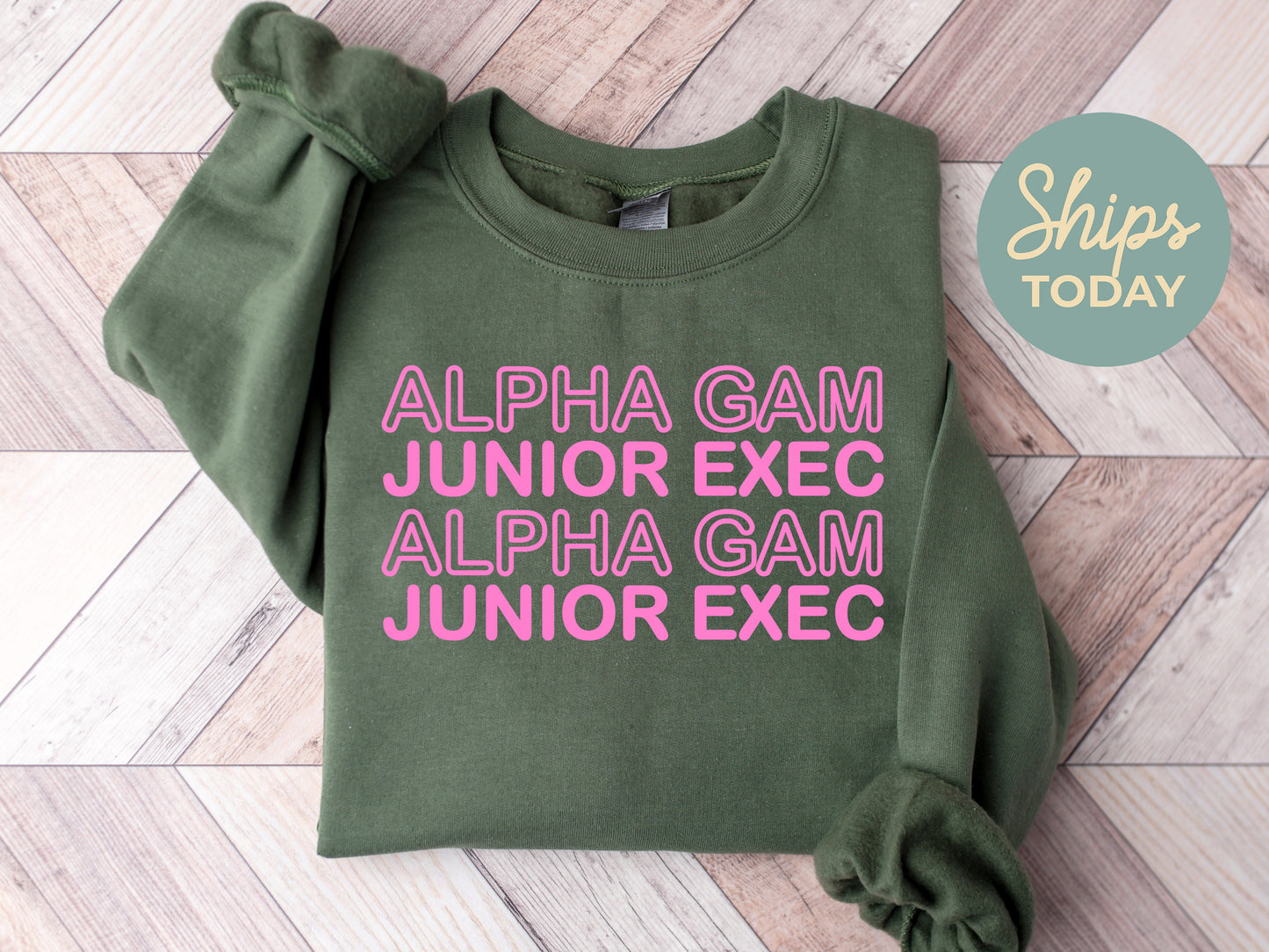 Alpha Gamma Delta Junior Exec Sorority Sweatshirt _ 30929g