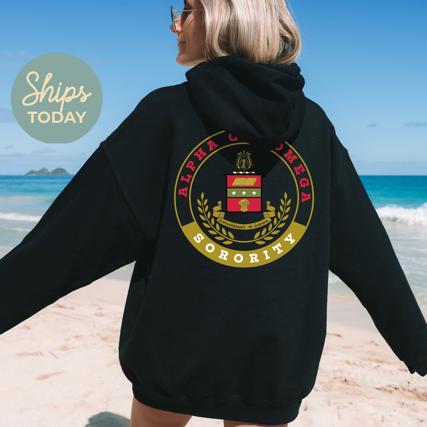 Alpha Chi Omega Crested Tradition Sorority Hoodie _ 32816g