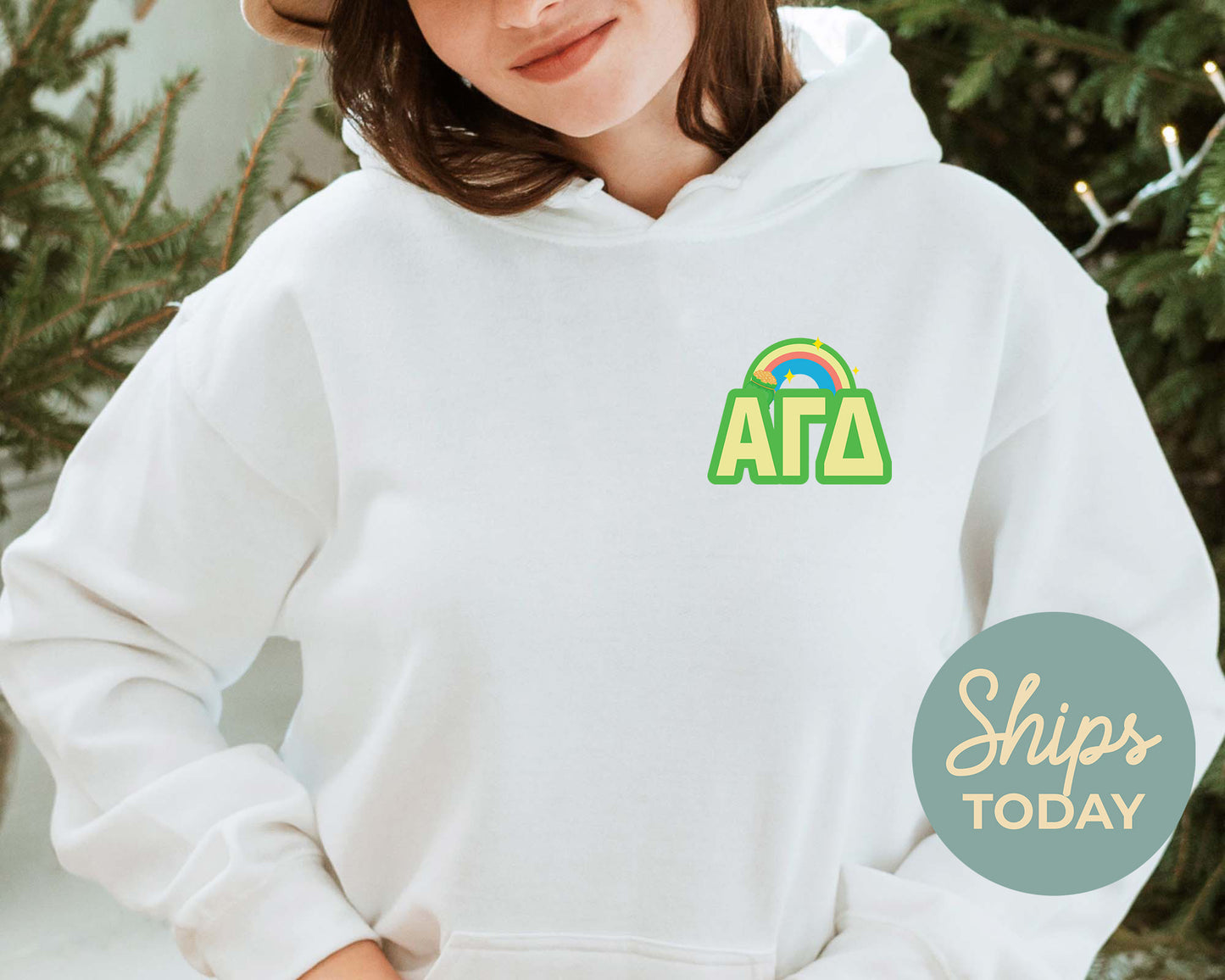 Alpha Gamma Delta Lucky Rainbow Sorority Hoodie _ 32871g