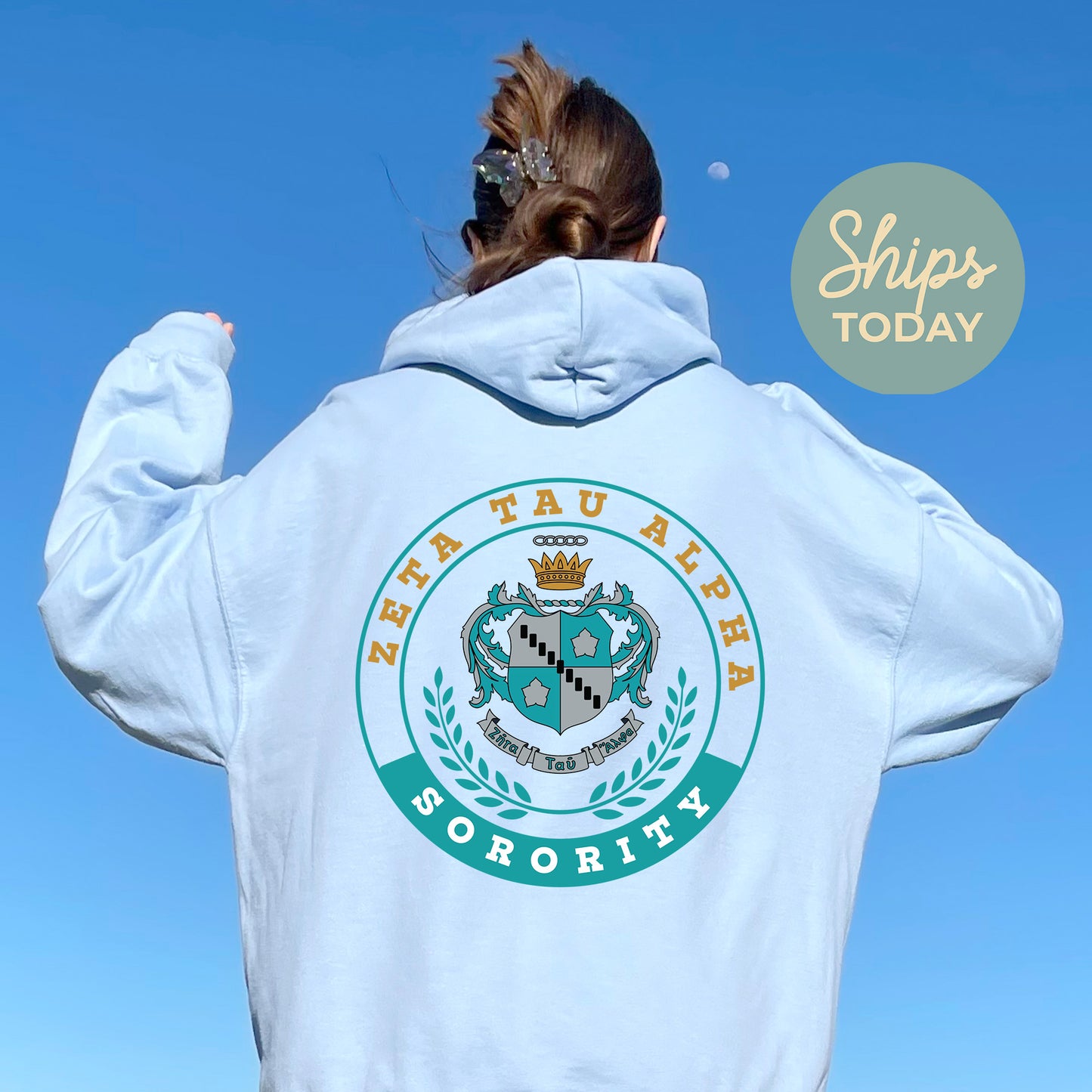Zeta Tau Alpha Crested Tradition Sorority Hoodie _ 32841g