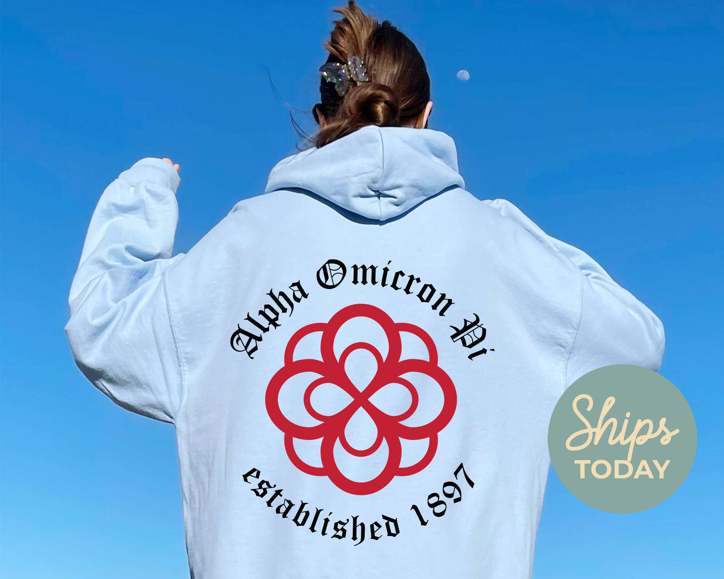 Alpha Omicron Pi Old English Crest Sorority Hoodie _ 32924g