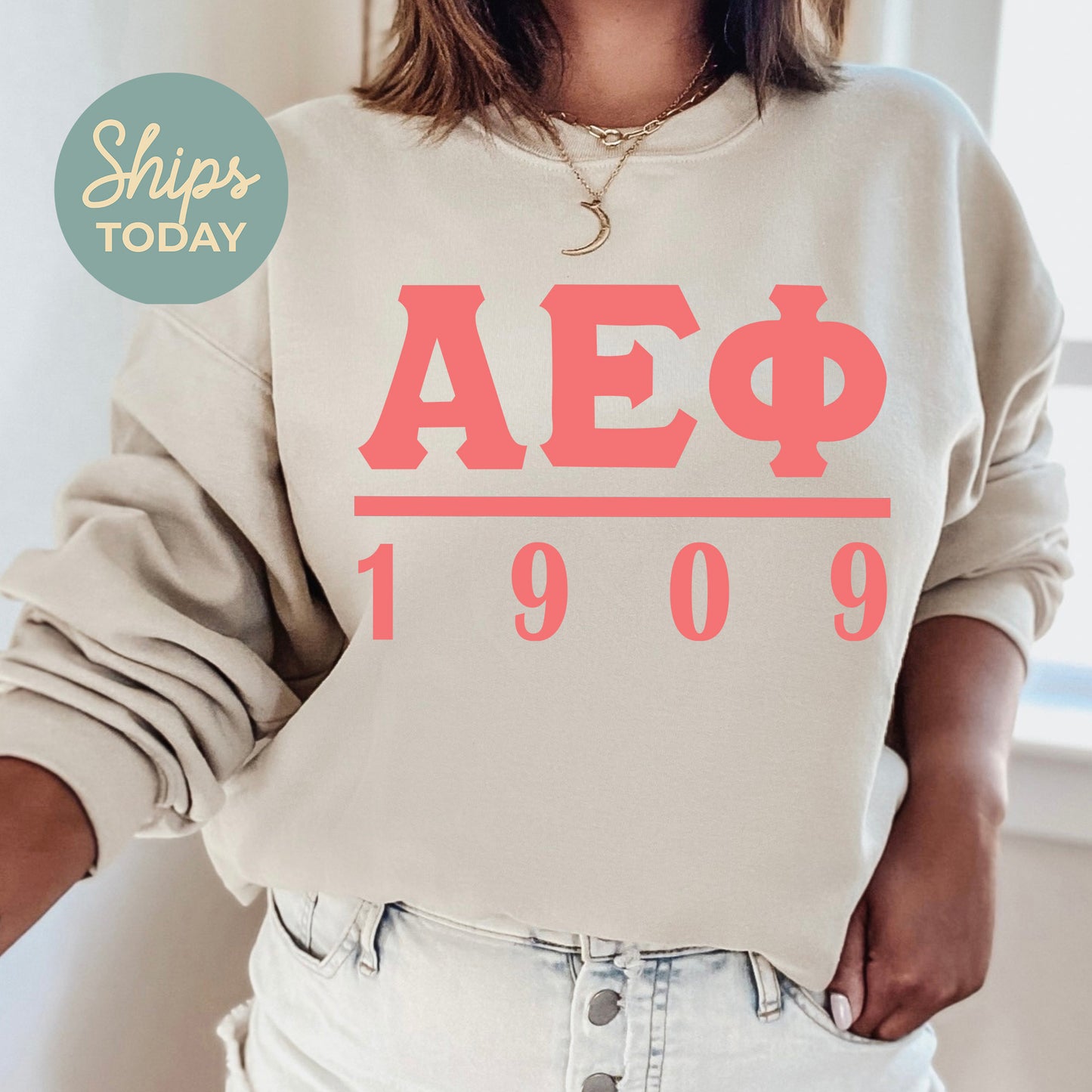 Alpha Epsilon Phi Monochromatic Sorority Sweatshirt _ 30845g
