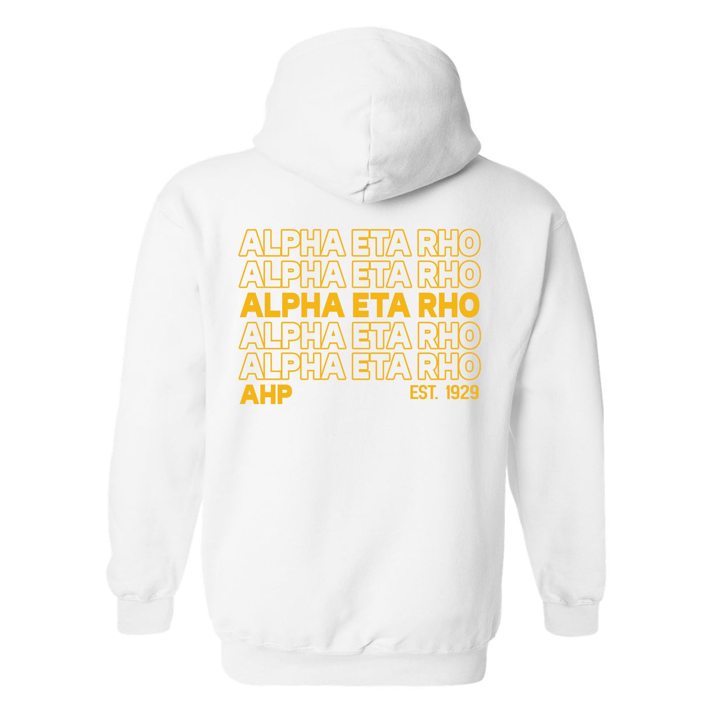 Alpha Eta Rho Repeating Letters COED Hoodie _ 35583g