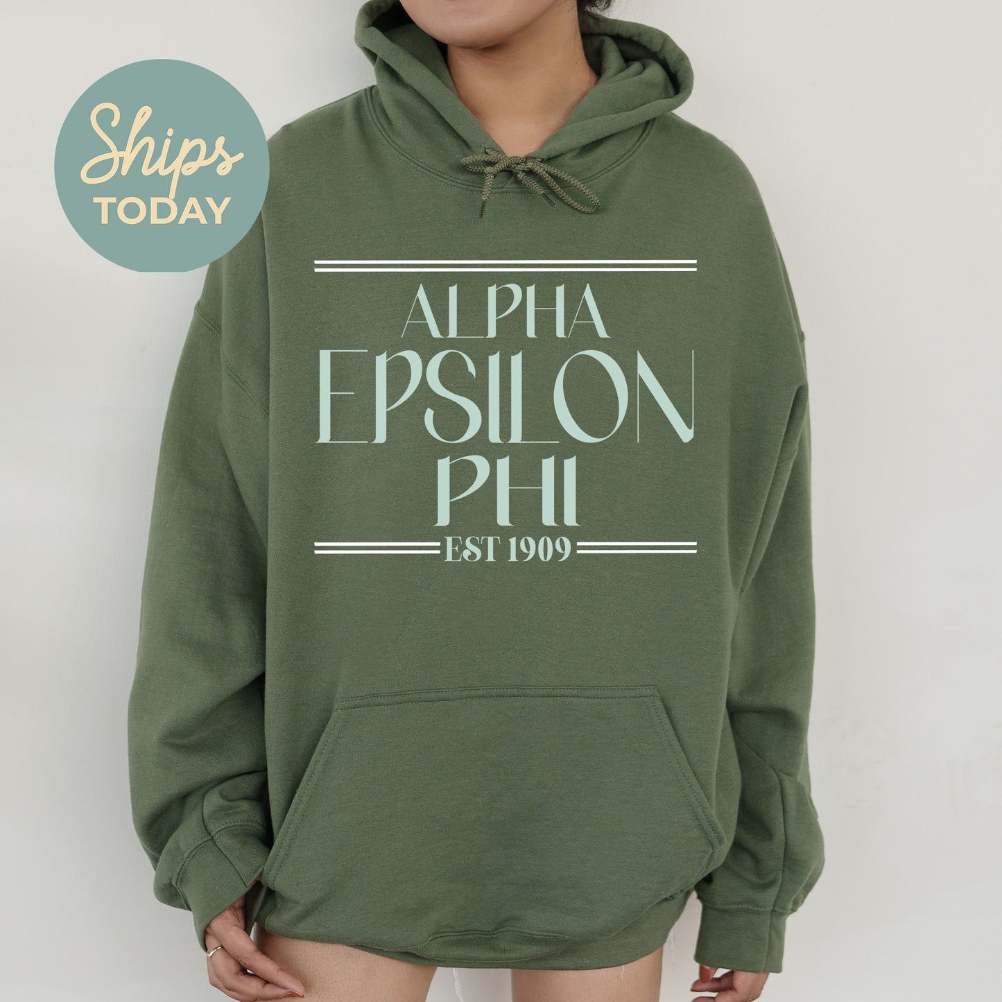 Alpha Epsilon Phi Greek Harmony Sorority Hoodie _ 34966g