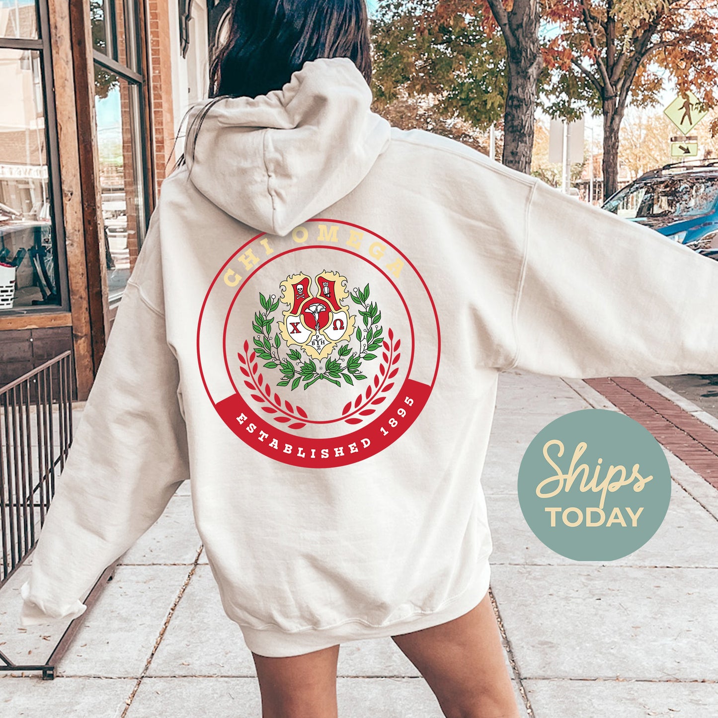 Chi Omega Crested Tradition Sorority Hoodie _ 32825g