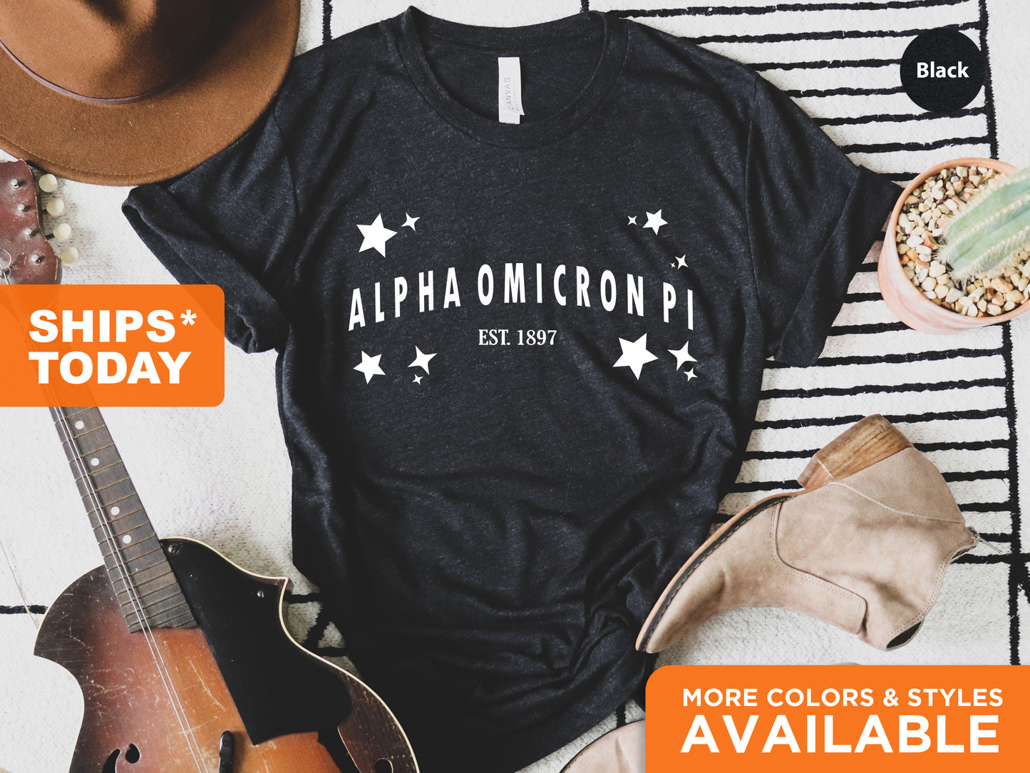 Alpha Omicron Pi Arched Star Sorority T-shirt _ 2268g