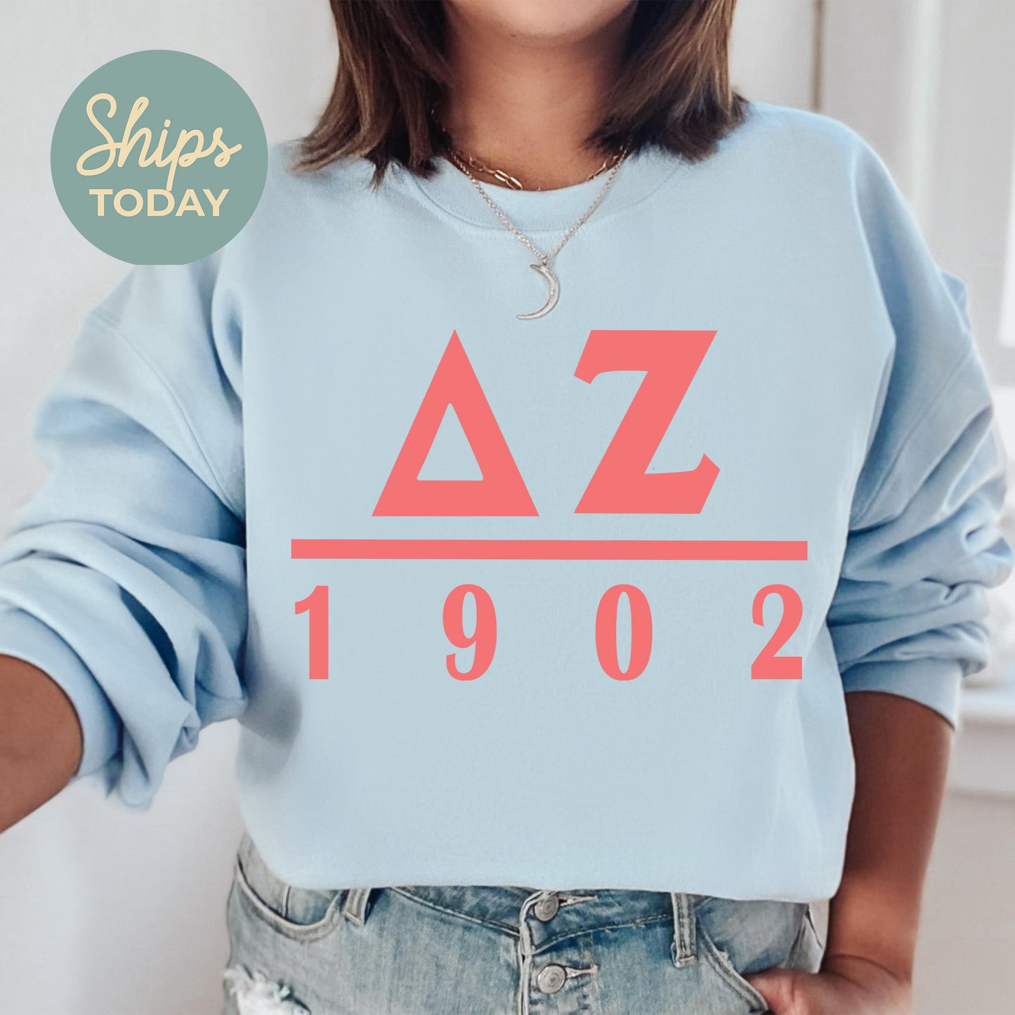 Delta Zeta Monochromatic Sorority Sweatshirt _ 30856g