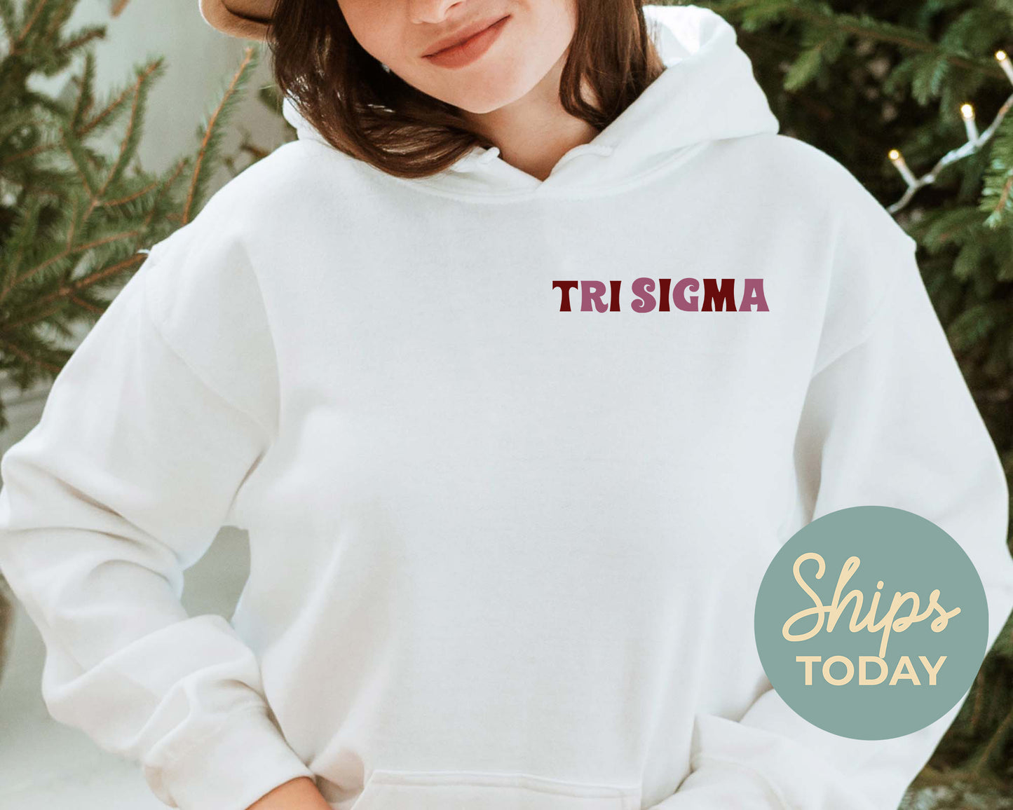 Sigma Sigma Sigma Say it Back Sorority Hoodie _ 33395g