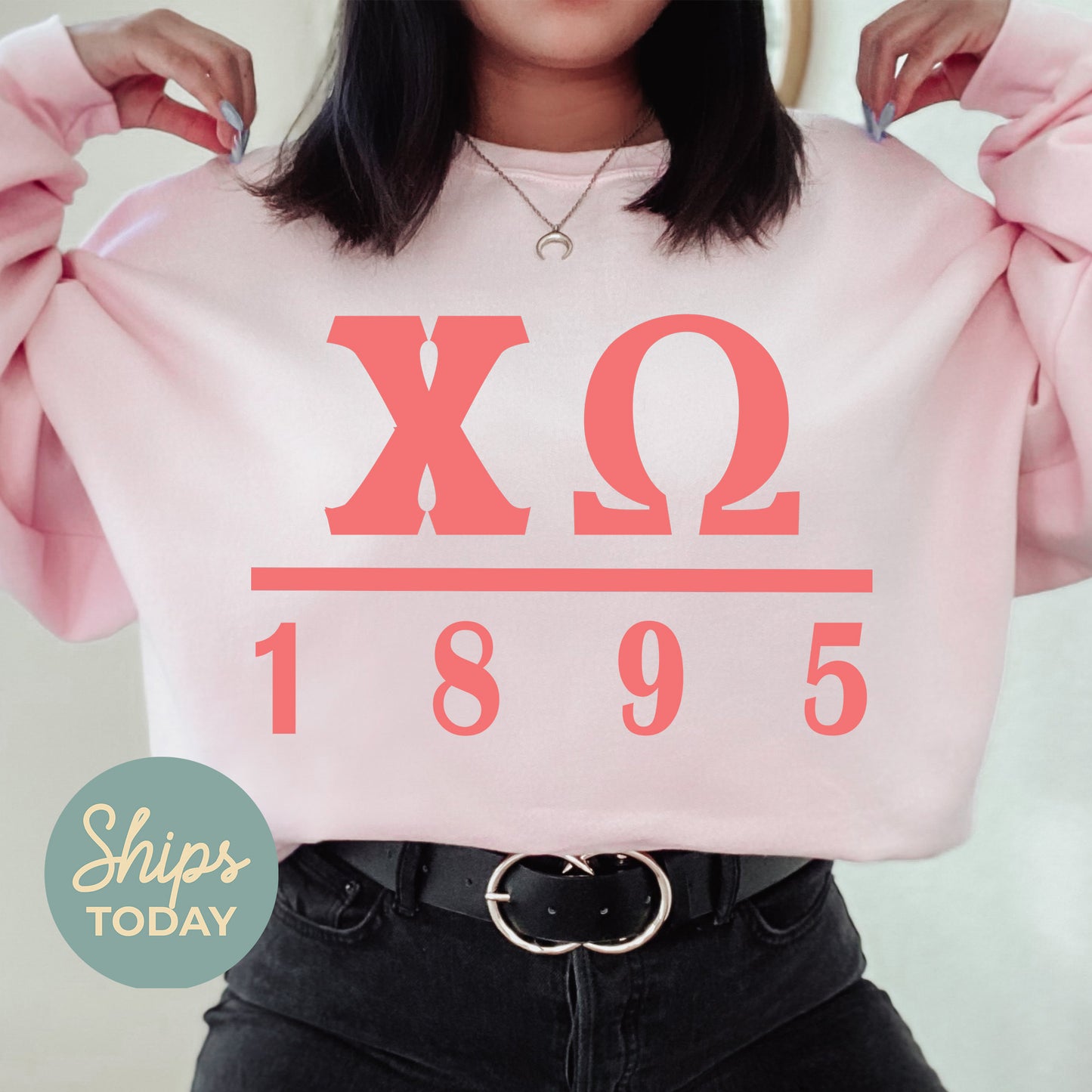 Chi Omega Monochromatic Sorority Sweatshirt _ 30852g