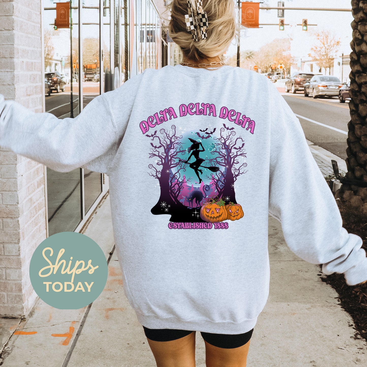 Delta Delta Delta Halloween Witch Sorority Sweatshirt _ 36236g