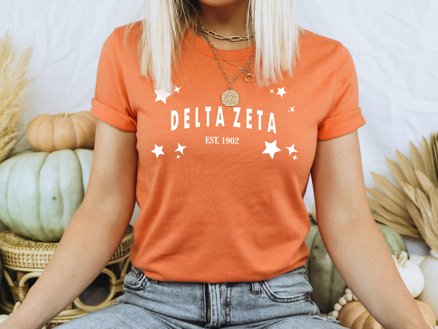 Delta Zeta Arched Star Sorority T-shirt _ 2277g