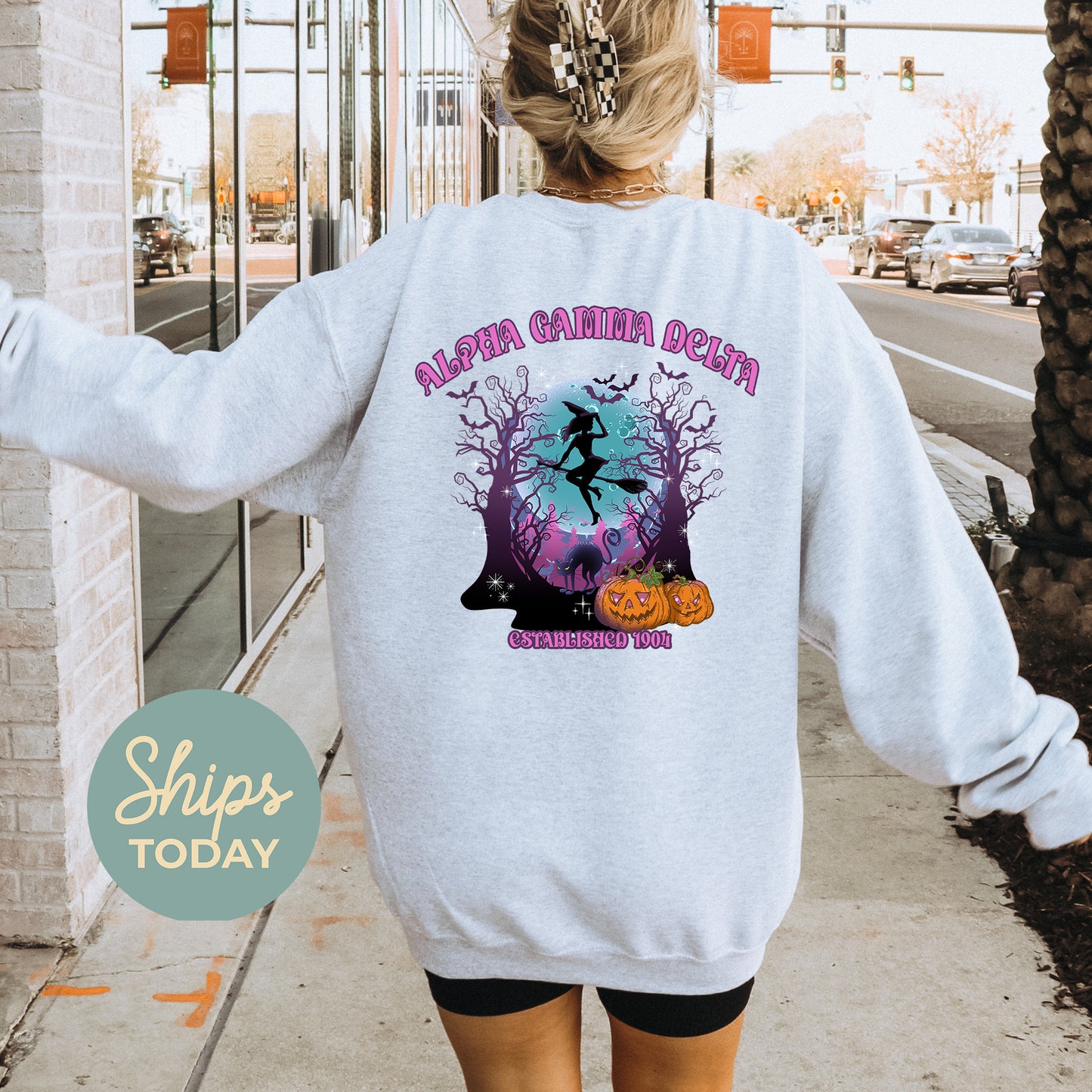 Alpha Gamma Delta Halloween Witch Sorority Sweatshirt _ 36229g