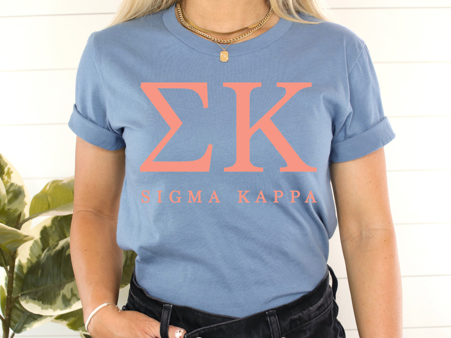 Sigma Kappa Pink Personality Sorority T-shirt _ 670g