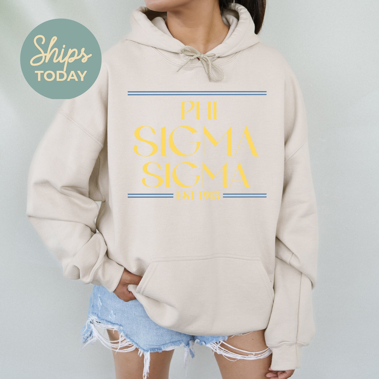 Phi Sigma Sigma Greek Harmony Sorority Hoodie _ 34983g