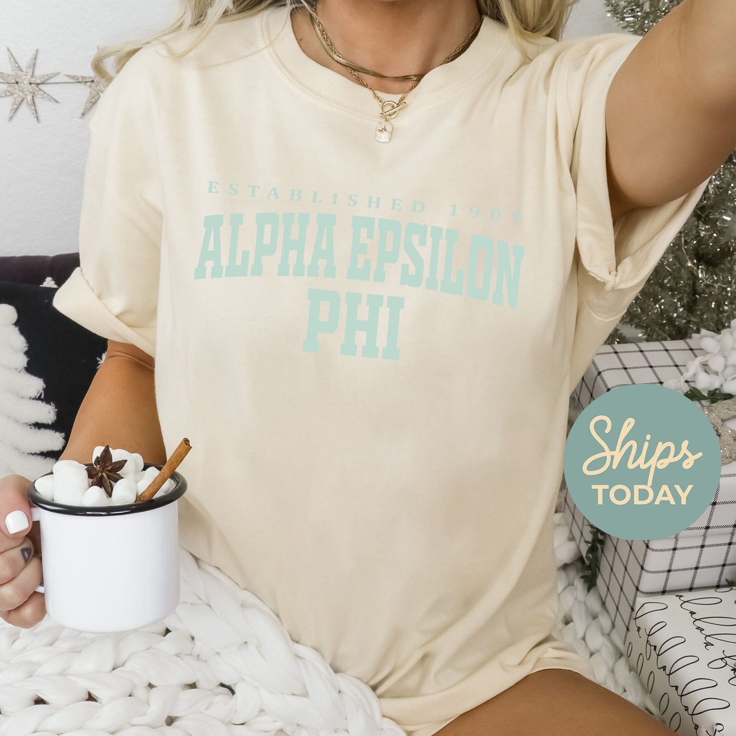 Alpha Epsilon Phi Bold Letters Sorority T-shirt _ 35122g