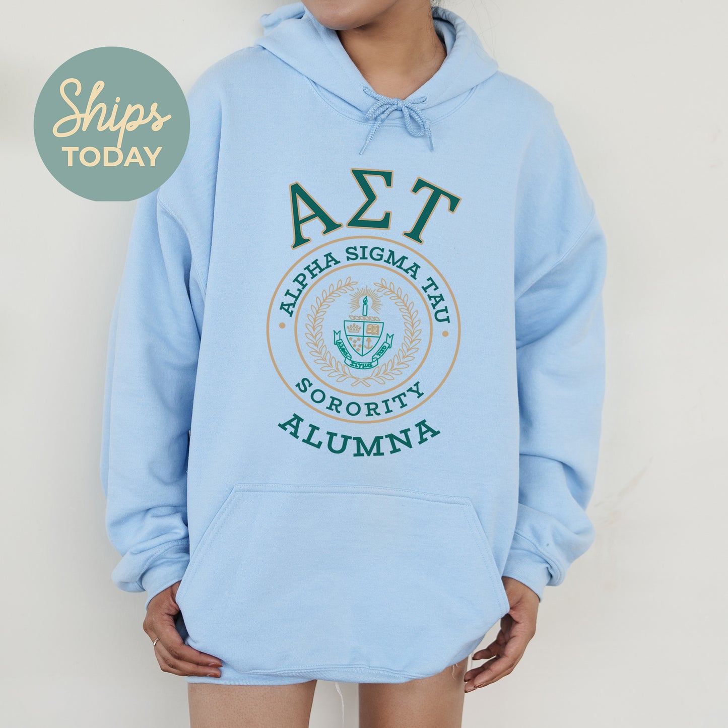 Alpha Sigma Tau Alumna Vintage Sorority Hoodie _ 31016g