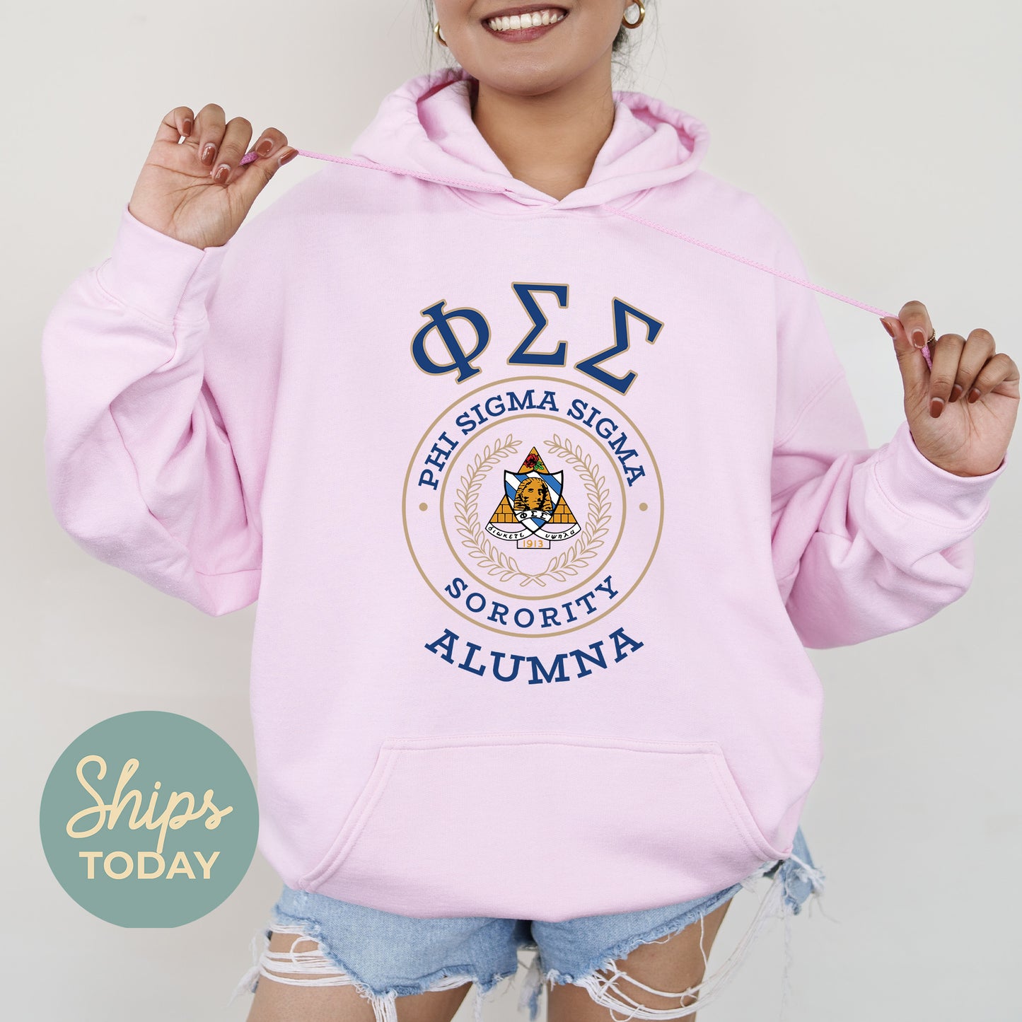 Phi Sigma Sigma Alumna Vintage Sorority Hoodie _ 31028g