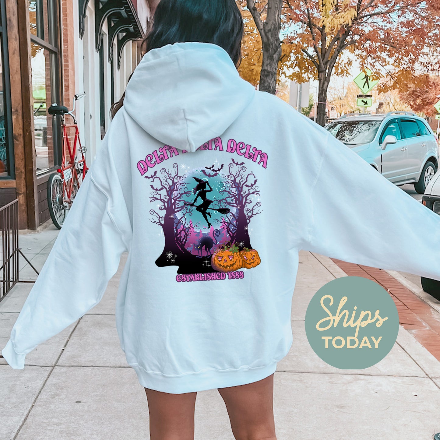 Delta Delta Delta Halloween Witch Sorority Hoodie _ 36236g