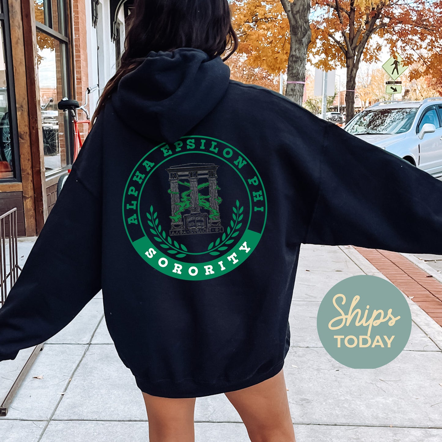 Alpha Epsilon Phi Crested Tradition Sorority Hoodie _ 32818g