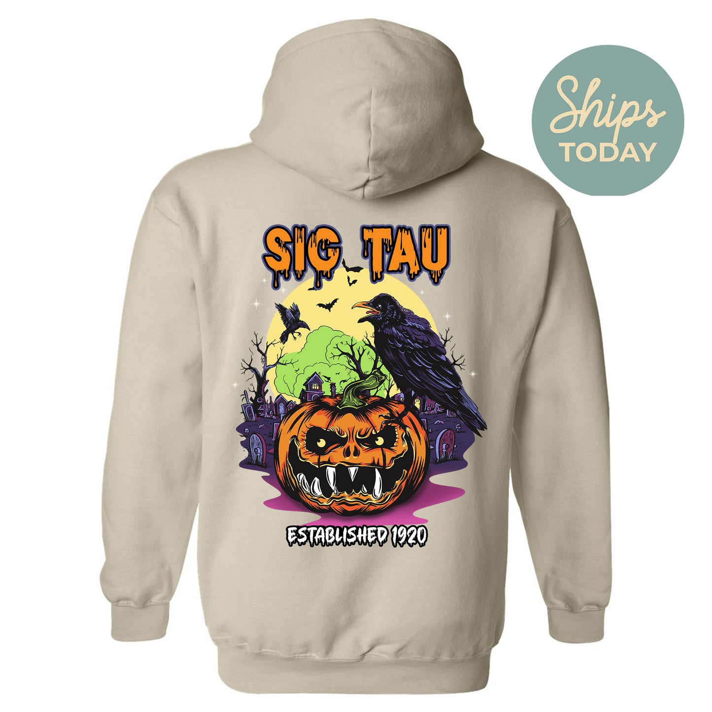 Sigma Tau Gamma Halloween Bats Fraternity Hoodie _ 36278g