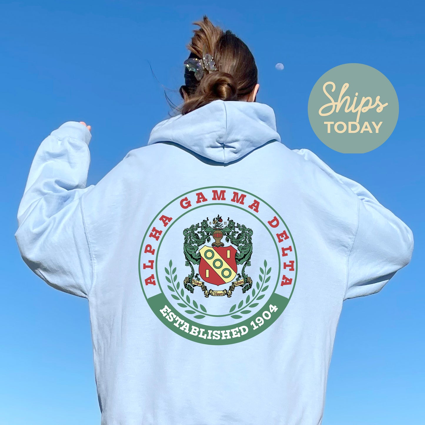 Alpha Gamma Delta Crested Tradition Sorority Hoodie _ 32819g