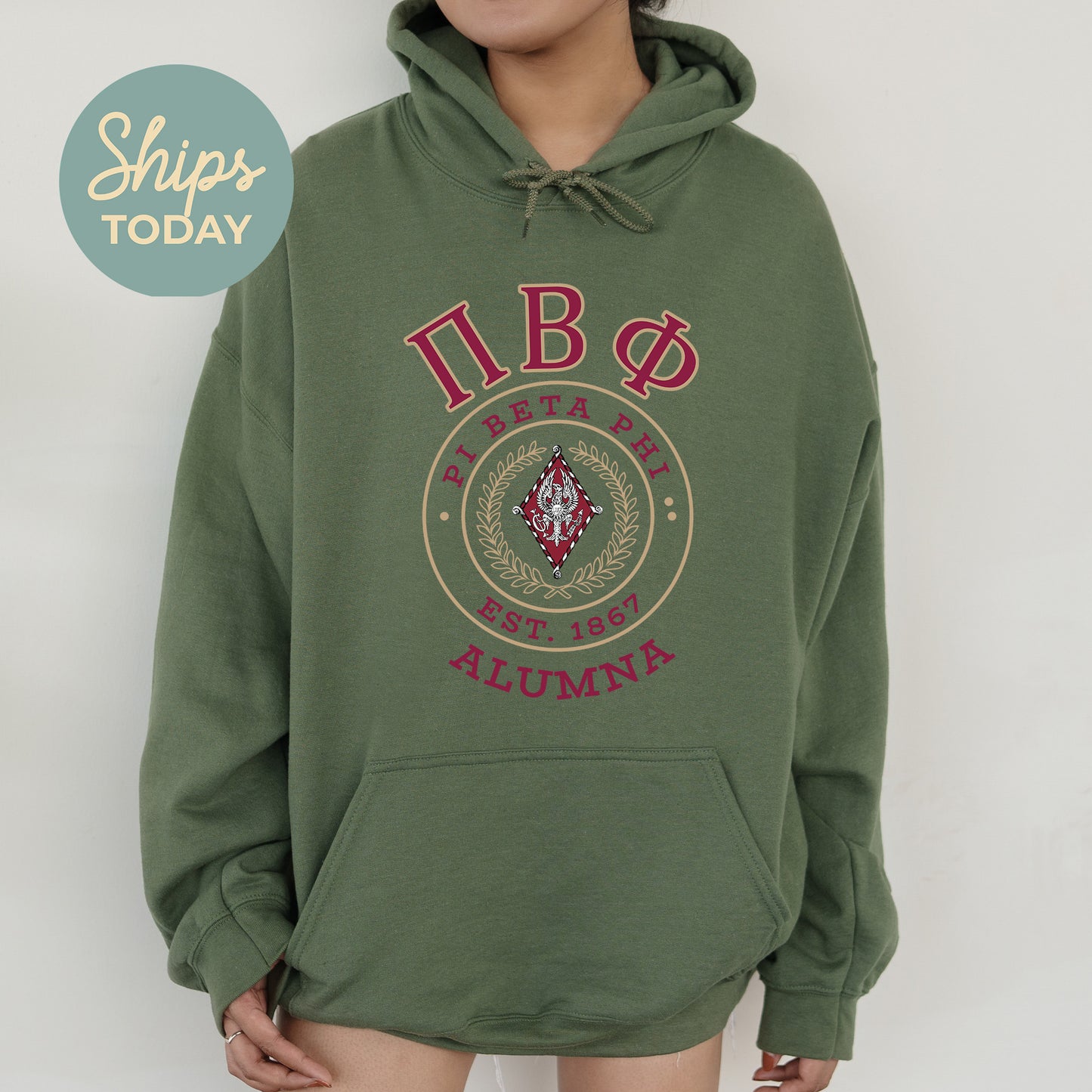 Pi Beta Phi Alumna Vintage Sorority Hoodie _ 31029g