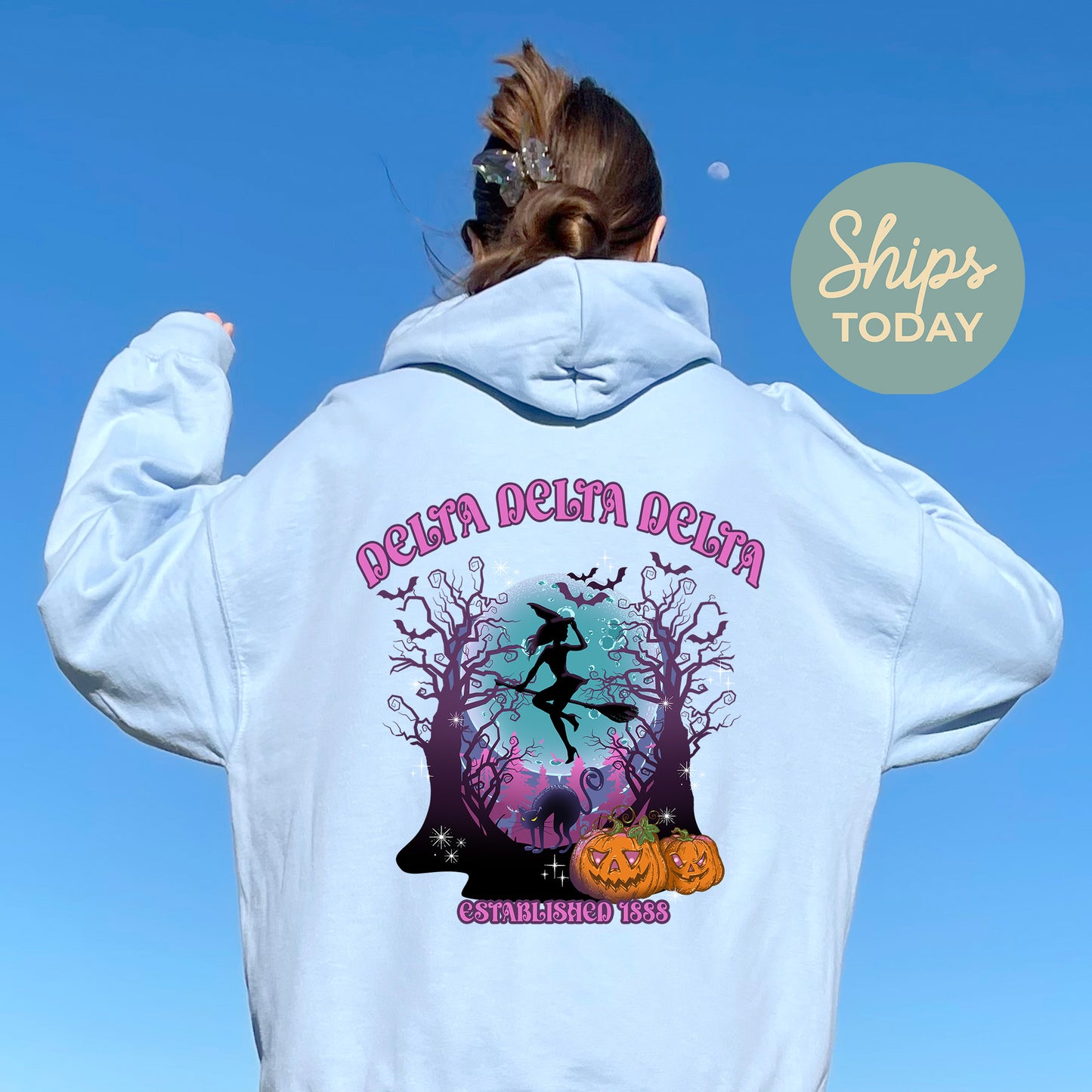 Delta Delta Delta Halloween Witch Sorority Hoodie _ 36236g